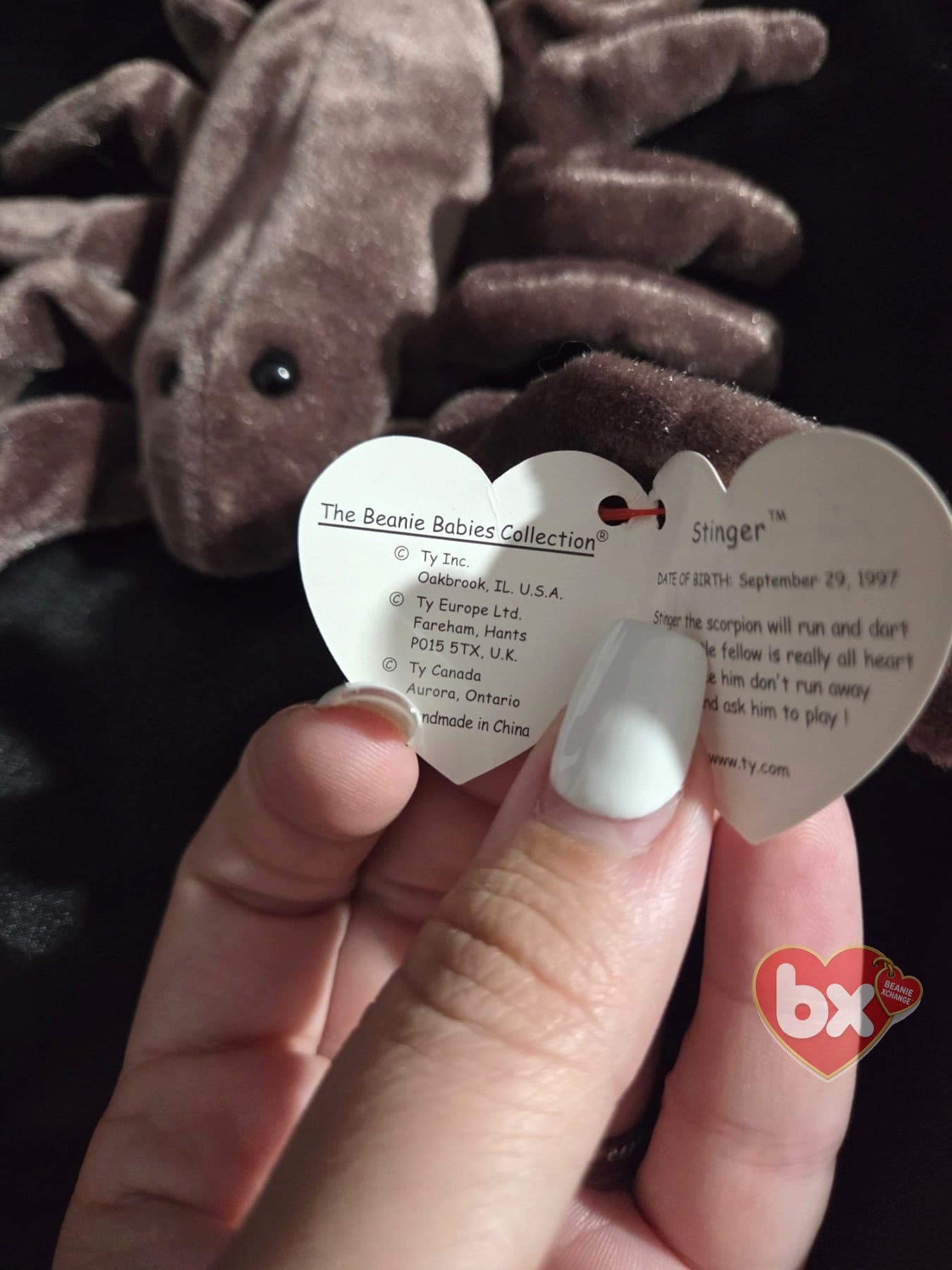 Stinger — Ty Beanie Baby scorpion (1998) (photo 3)