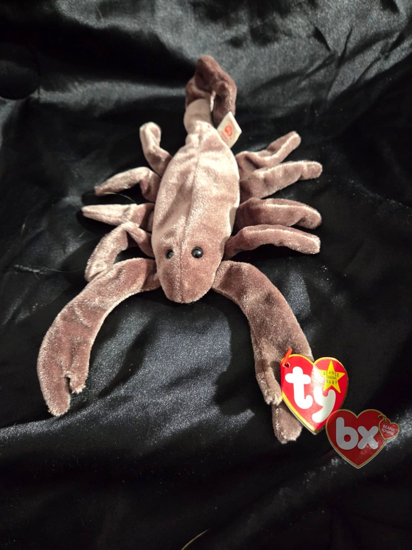 Stinger — Ty Beanie Baby scorpion (1998) (photo 1)
