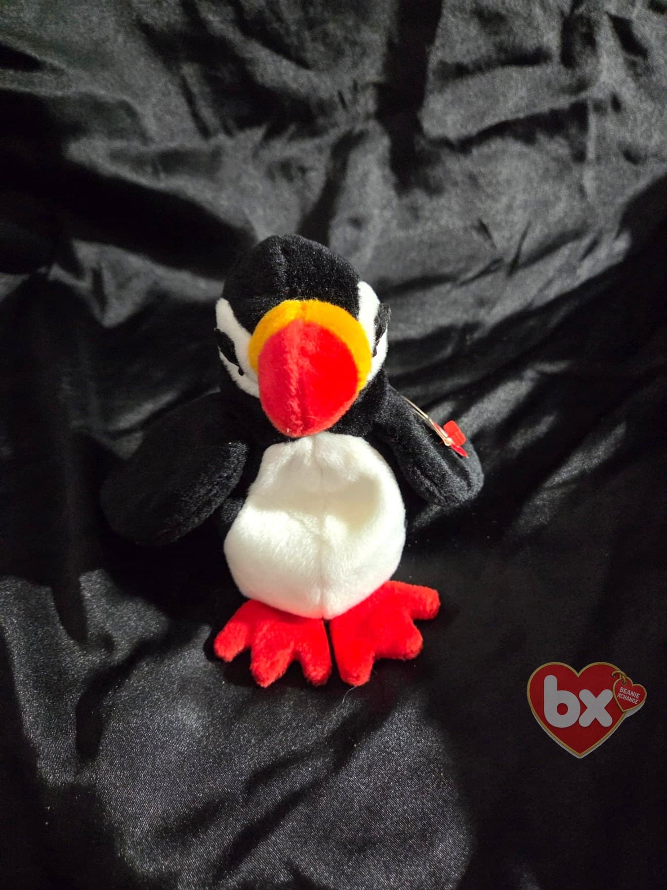 Puffer — Ty Beanie Baby puffin (1998) (photo 1)