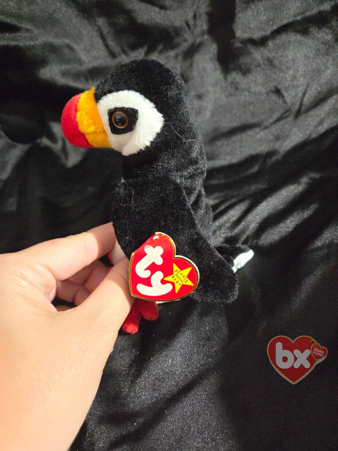Puffer — Ty Beanie Baby puffin (1998) (photo 2)