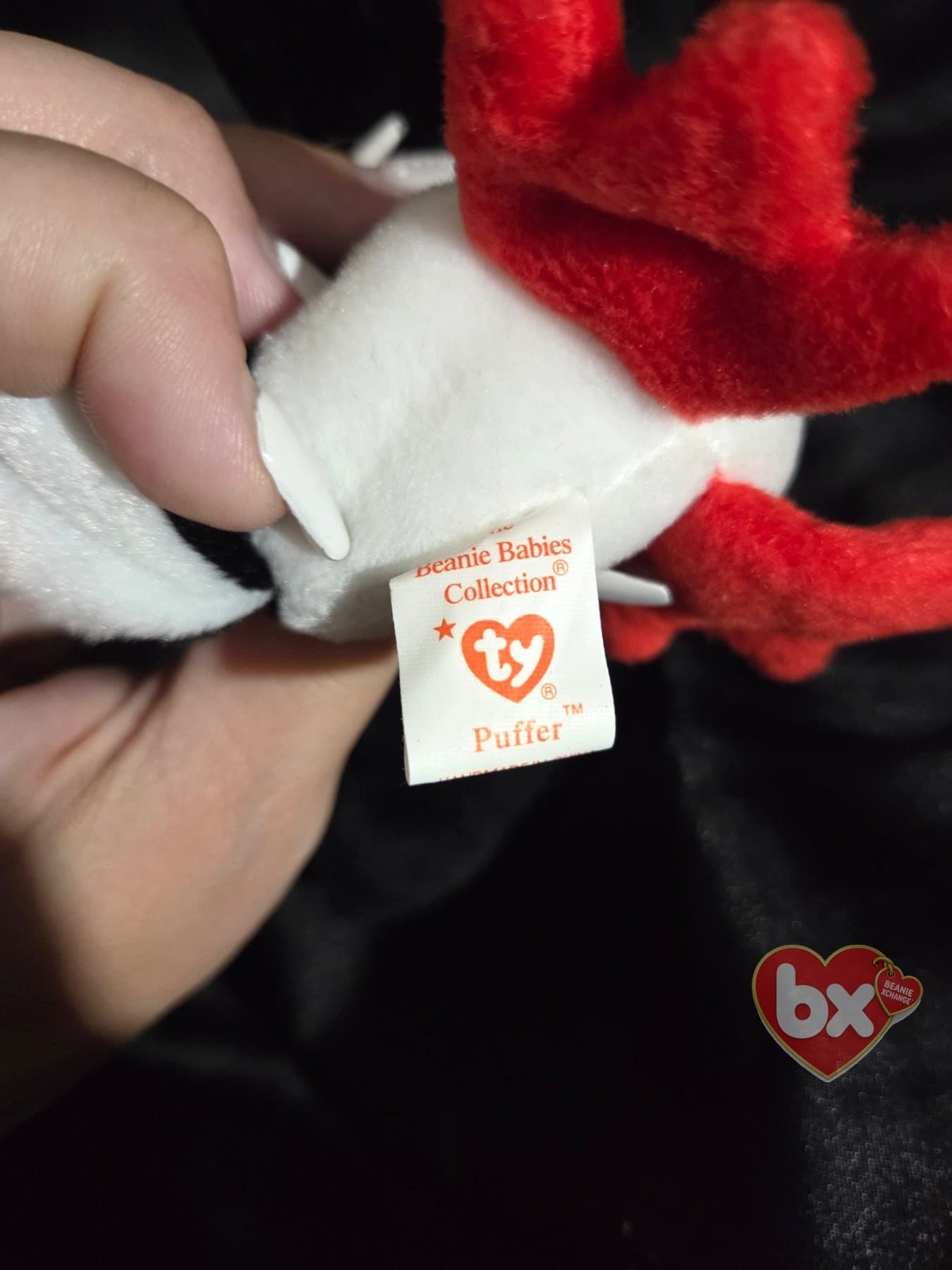 Puffer — Ty Beanie Baby puffin (1998) (photo 5)