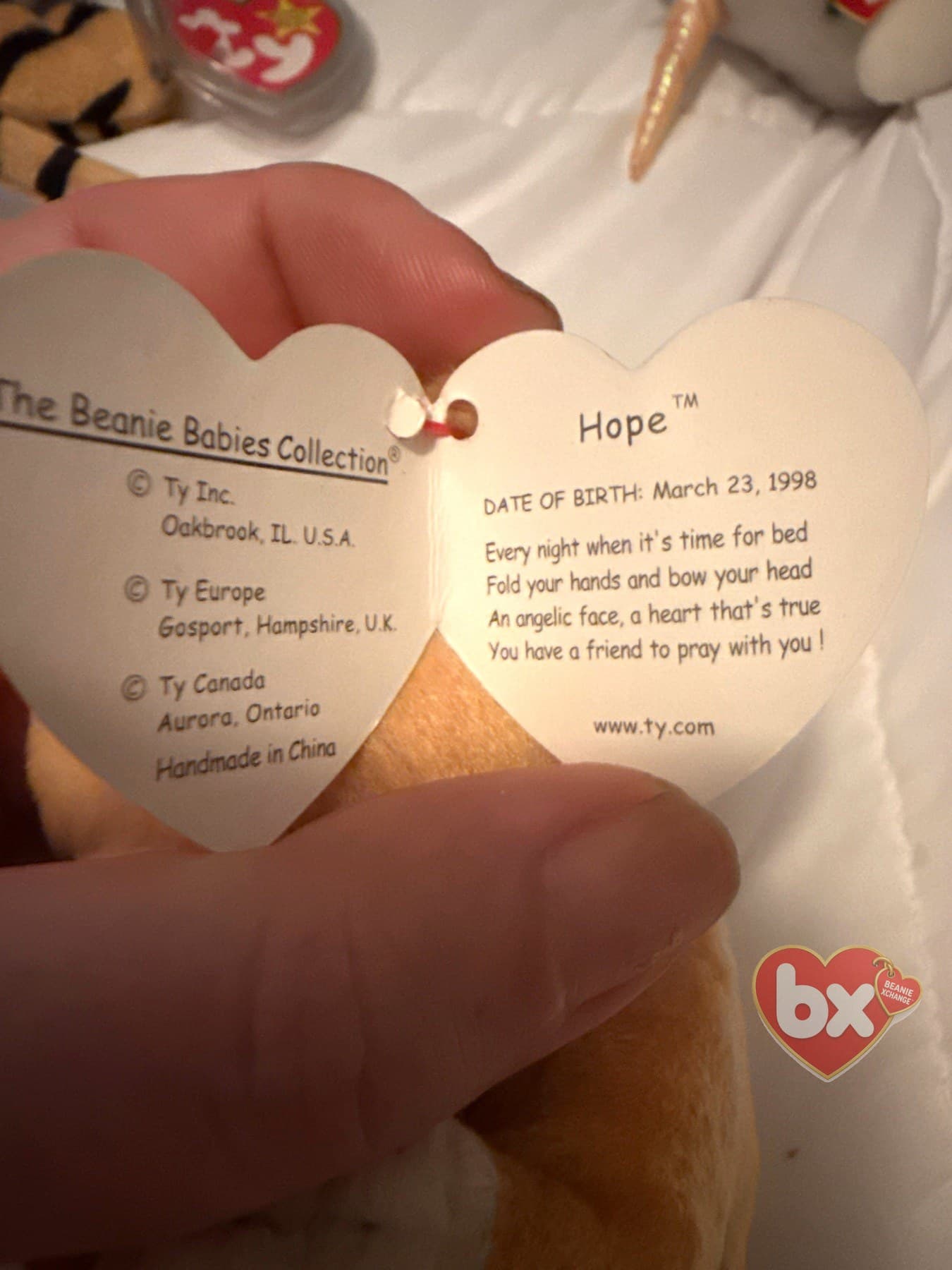 Hope — Ty Beanie Baby bear (1998) (photo 2)