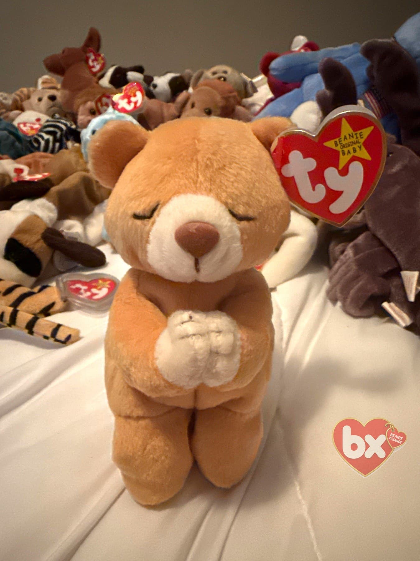 Hope — Ty Beanie Baby bear (1998) (photo 1)