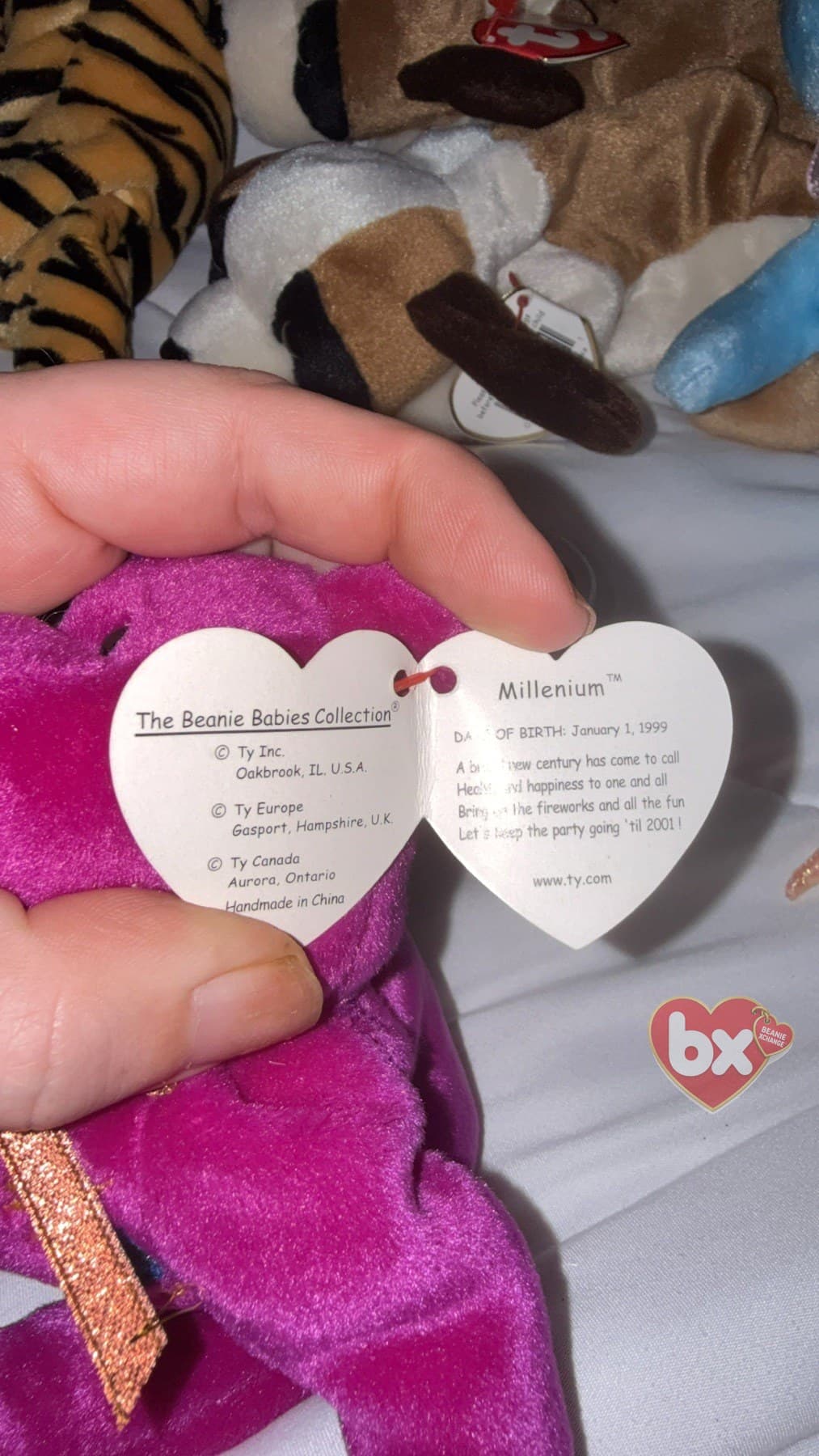 Millennium — Ty Beanie Baby bear (1999) (photo 2)