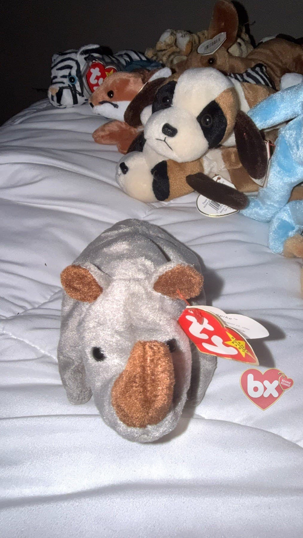 Spike — Ty Beanie Baby rhinoceros (1996) (photo 1)
