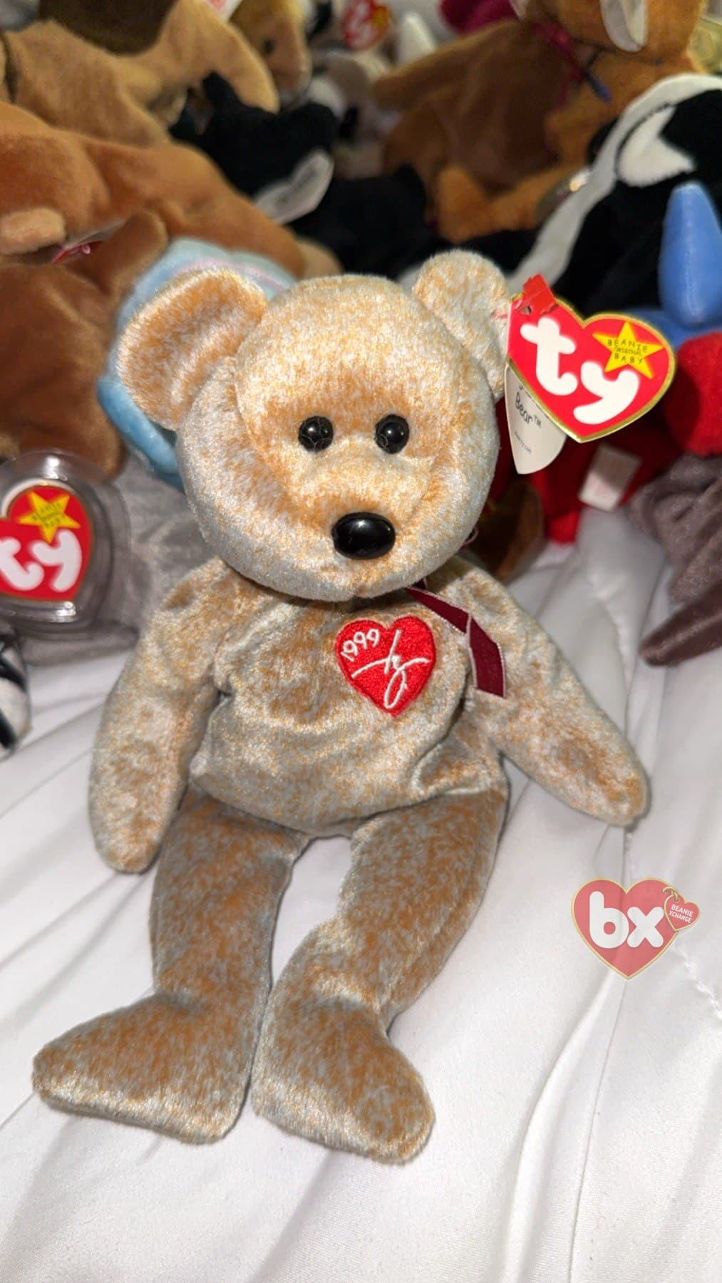 1999 Signature Bear — Ty Beanie Baby (1999) (photo 1)