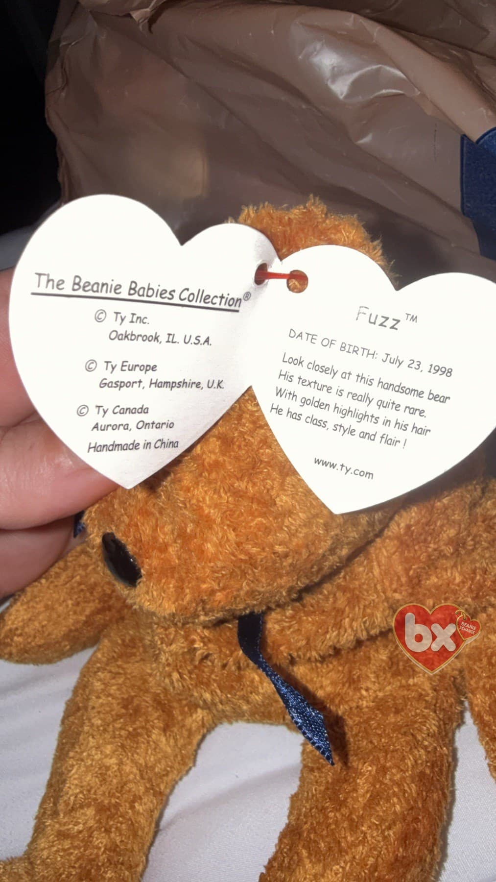 Fuzz — Ty Beanie Baby bear (1999) (photo 2)