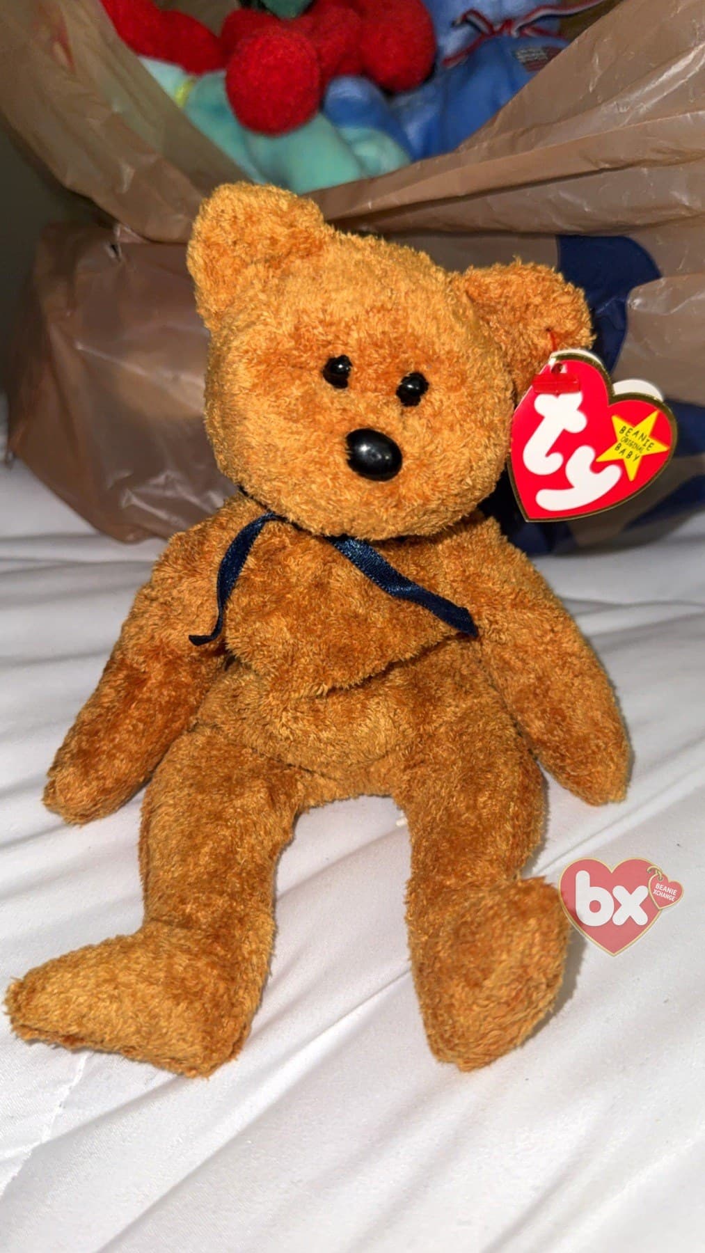 Fuzz — Ty Beanie Baby bear (1999) (photo 1)