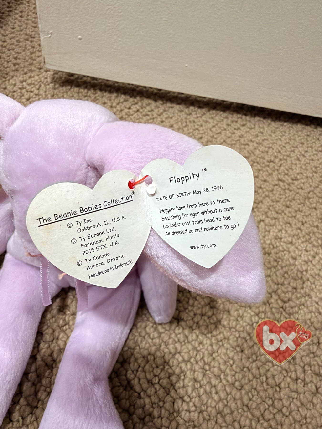 Floppity — Ty Beanie Baby bunny (1996) (photo 2)