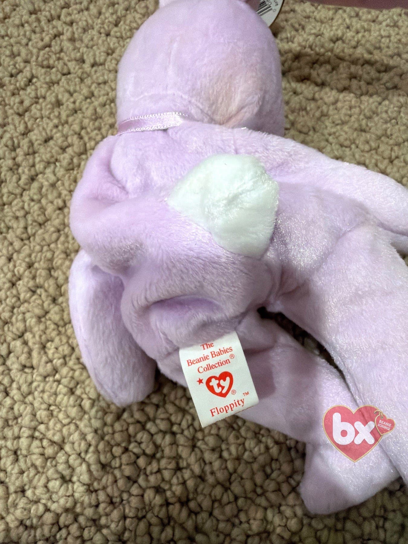 Floppity — Ty Beanie Baby bunny (1996) (photo 3)