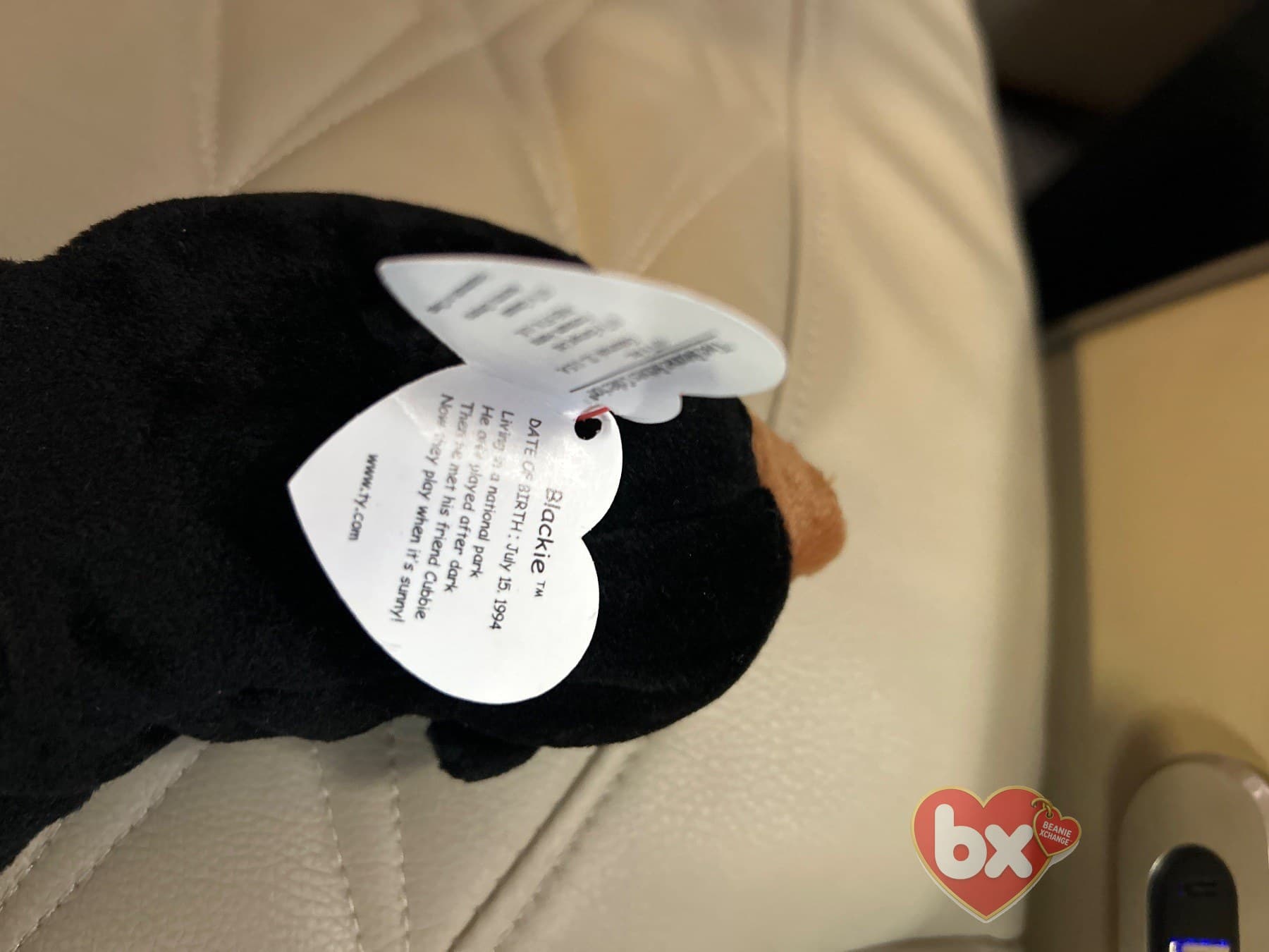 Blackie — Ty Beanie Baby bear (1994) (photo 1)