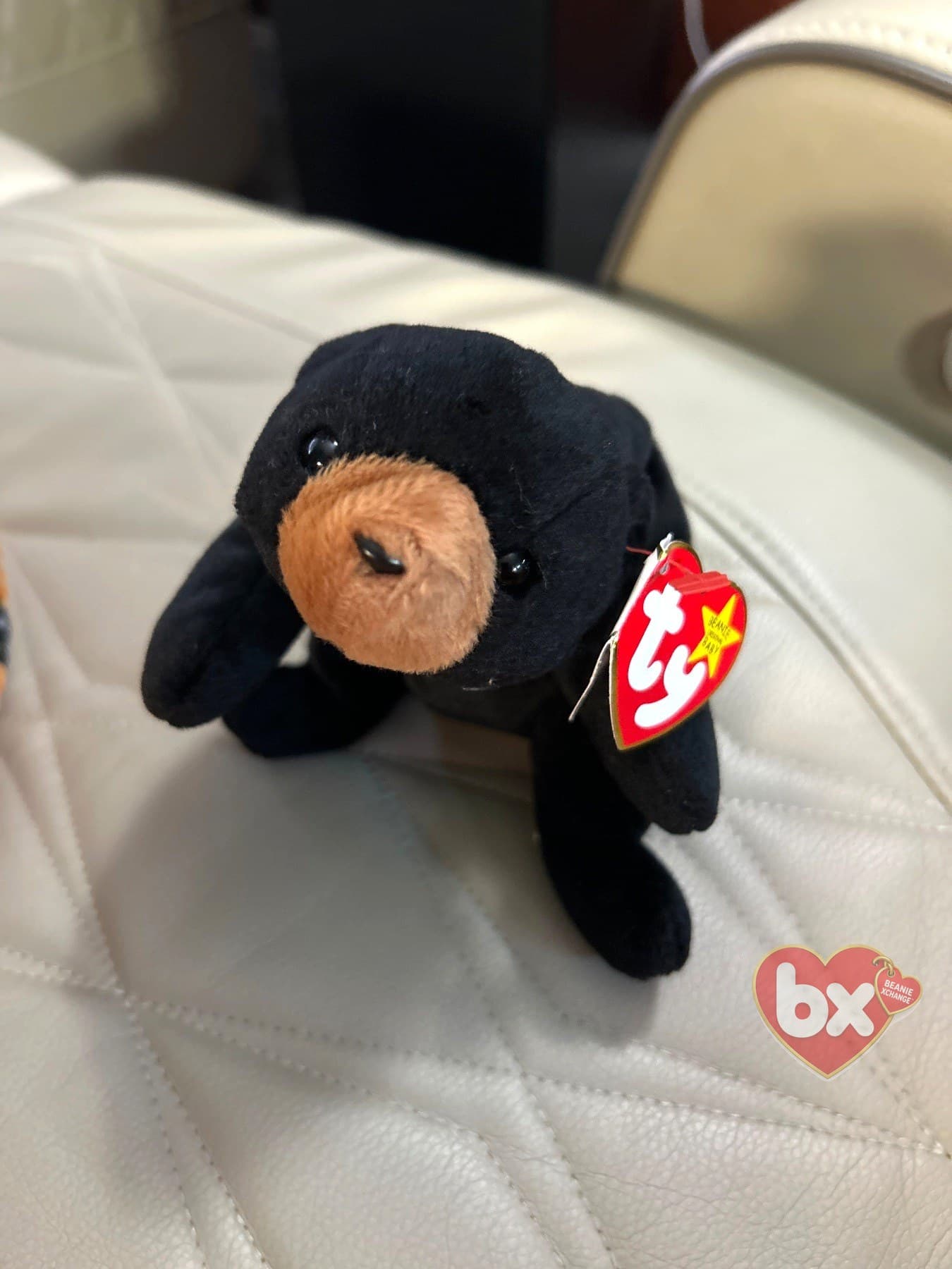 Blackie — Ty Beanie Baby bear (1994) (photo 3)