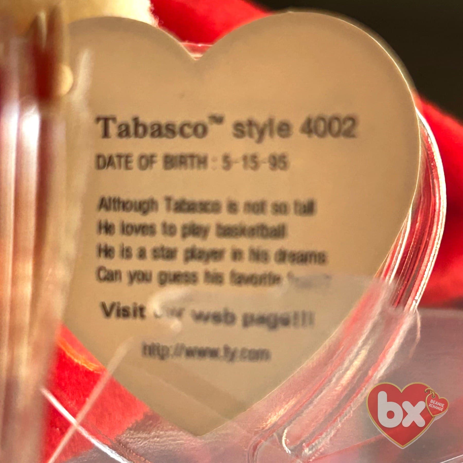 Tabasco — Ty Beanie Baby bull (1995) (photo 4)