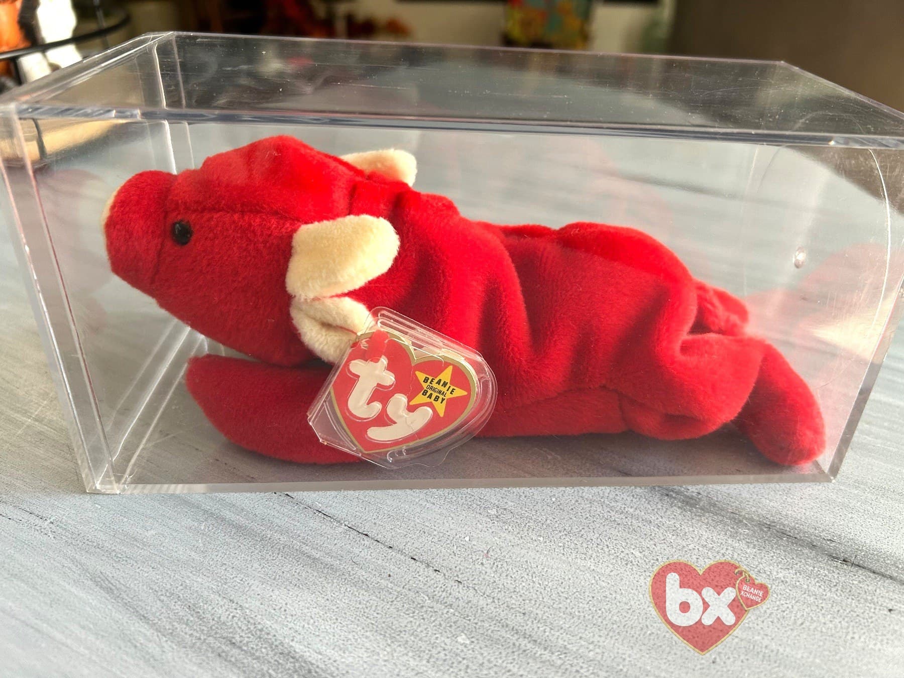 Tabasco — Ty Beanie Baby bull (1995) (photo 5)