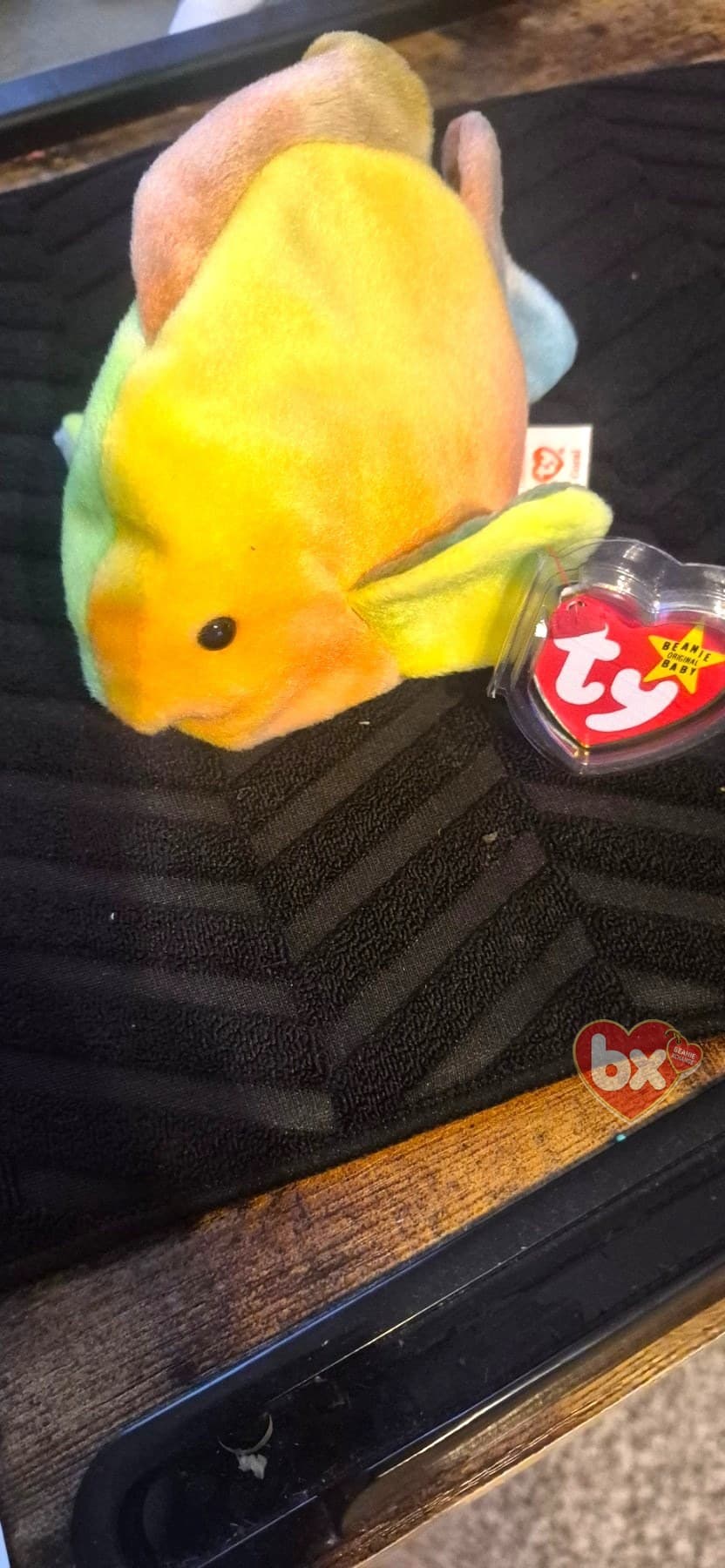 Coral — Ty Beanie Baby fish (1995) (photo 1)