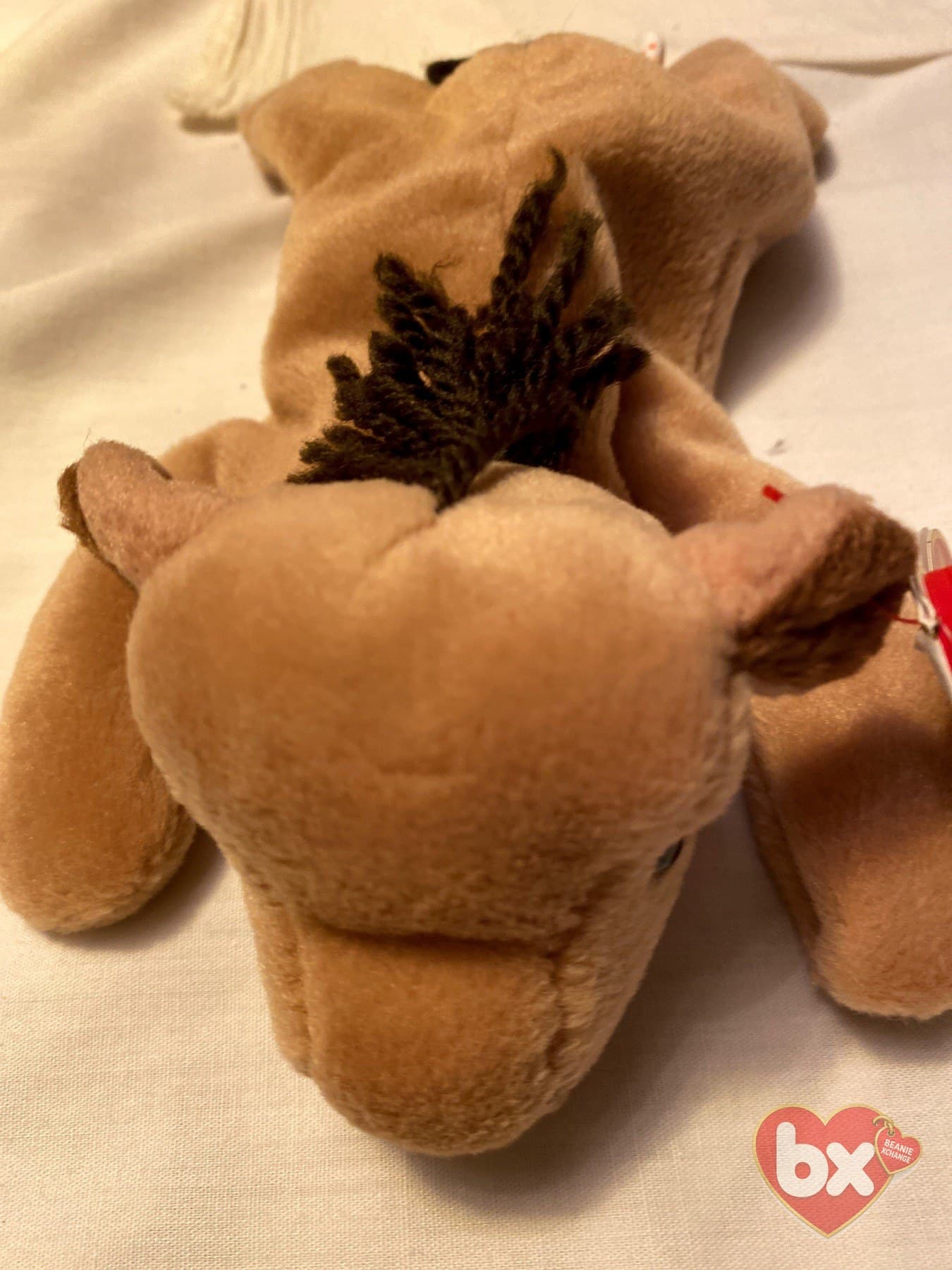 Derby — Ty Beanie Baby