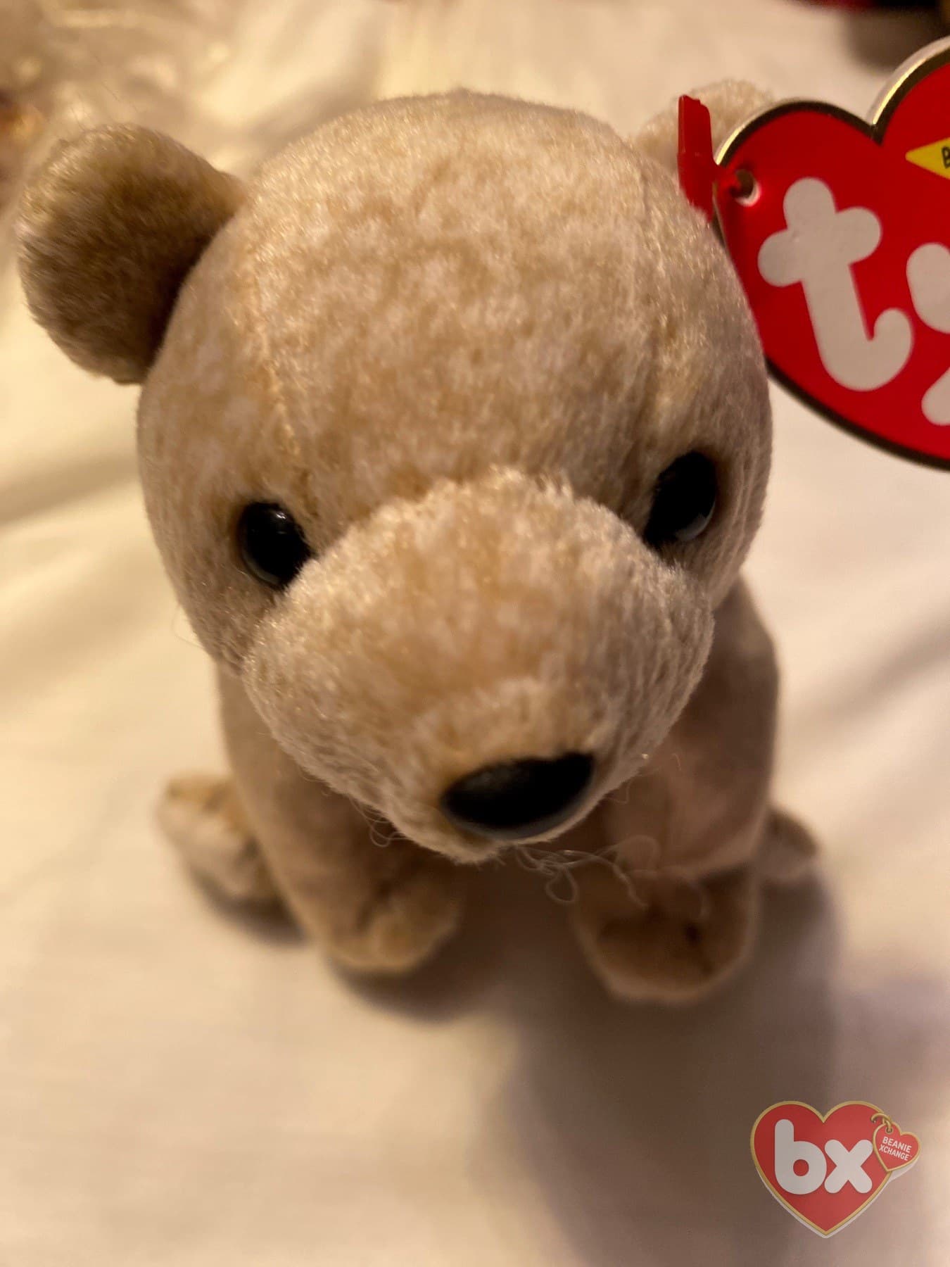 Almond — Ty Beanie Baby