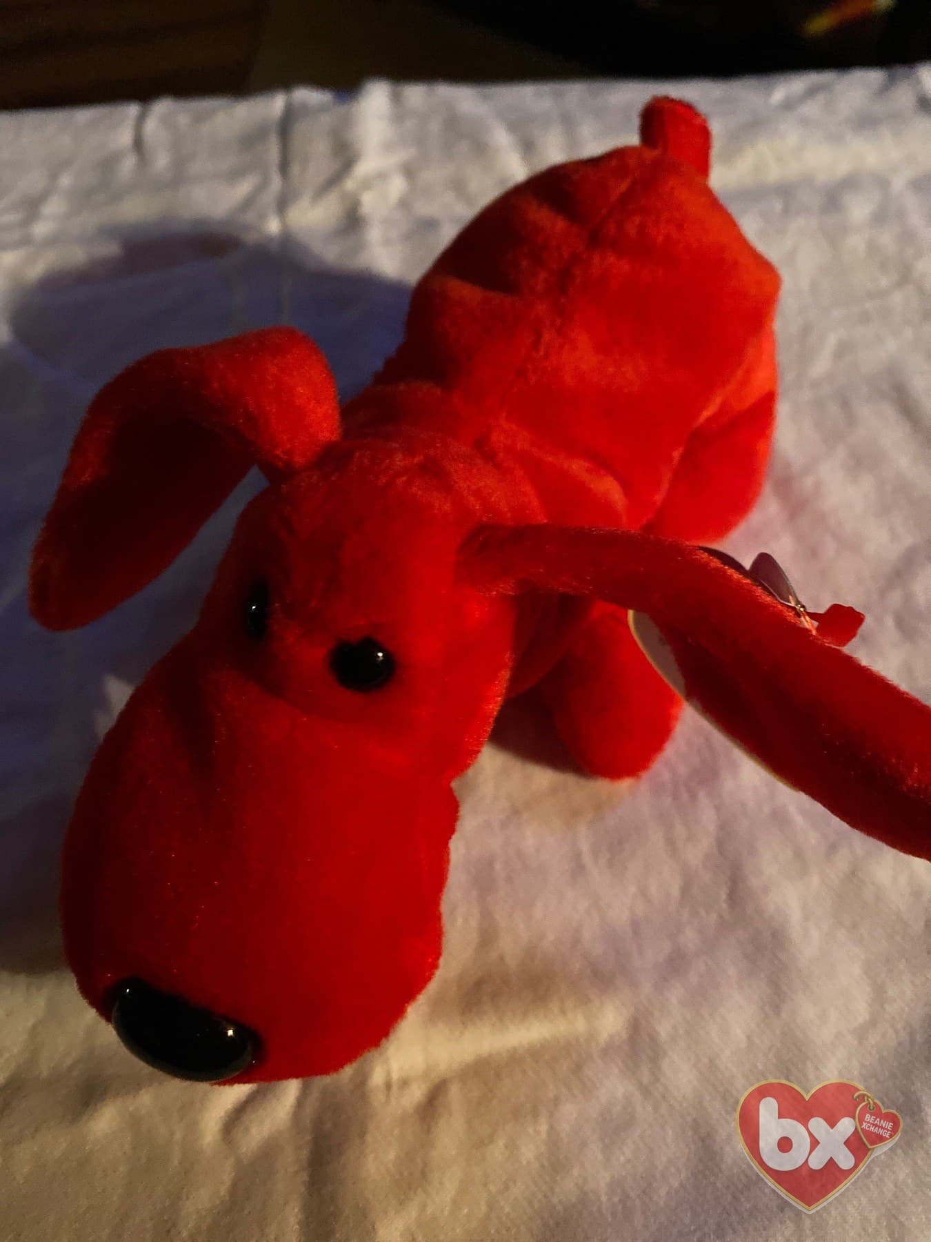 Rover — Ty Beanie Baby
