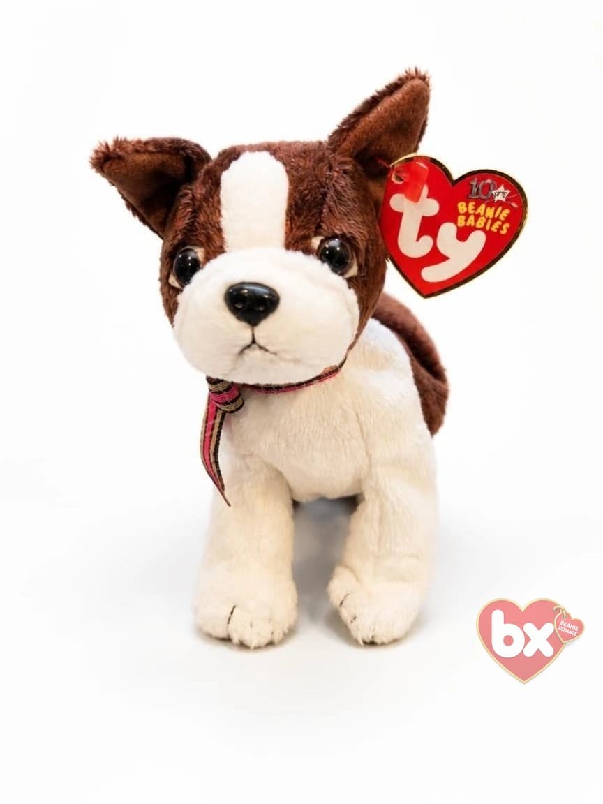 Spot — Ty Beanie Baby dog (1995)