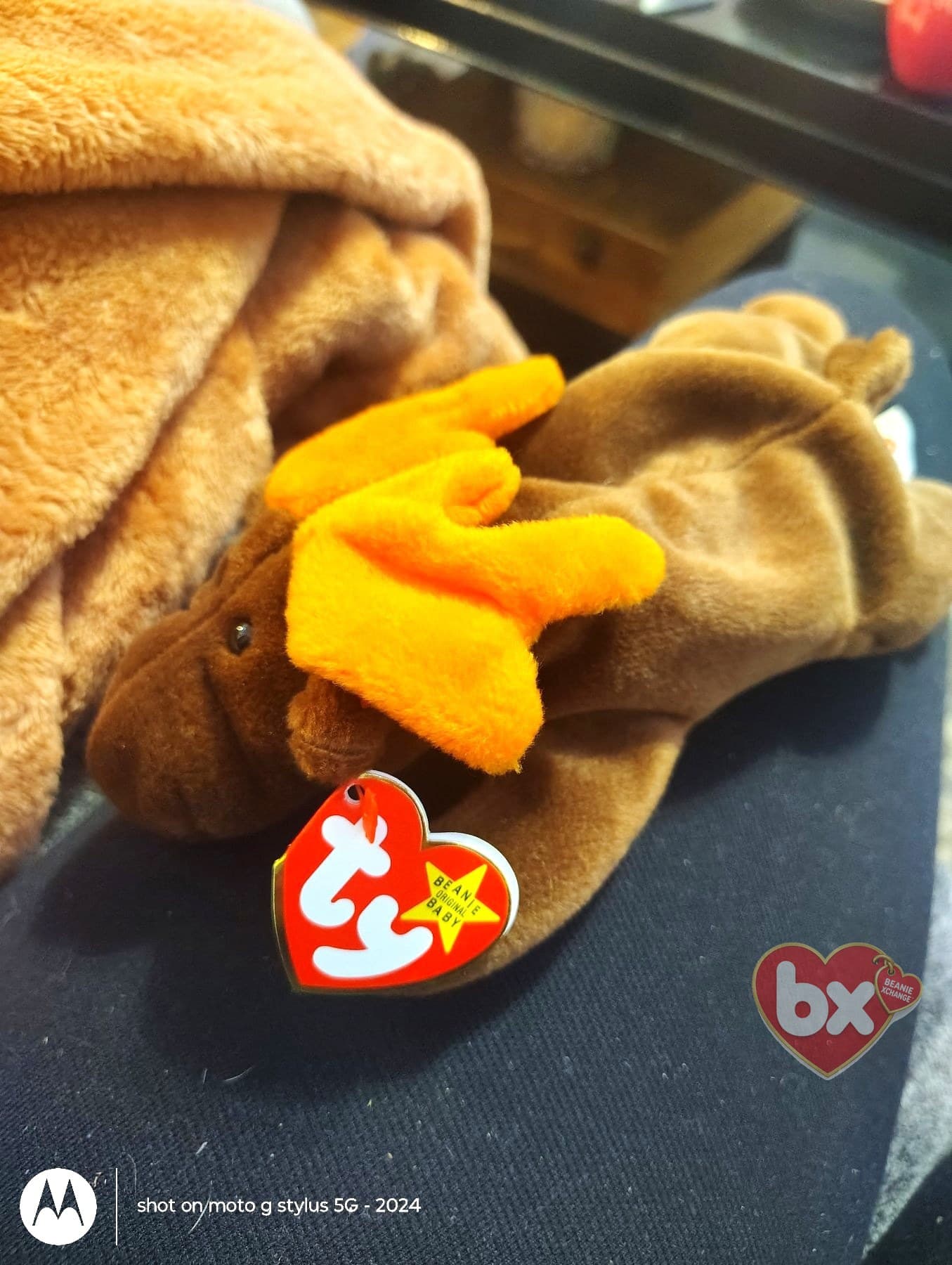 Chocolate — Ty Beanie Baby