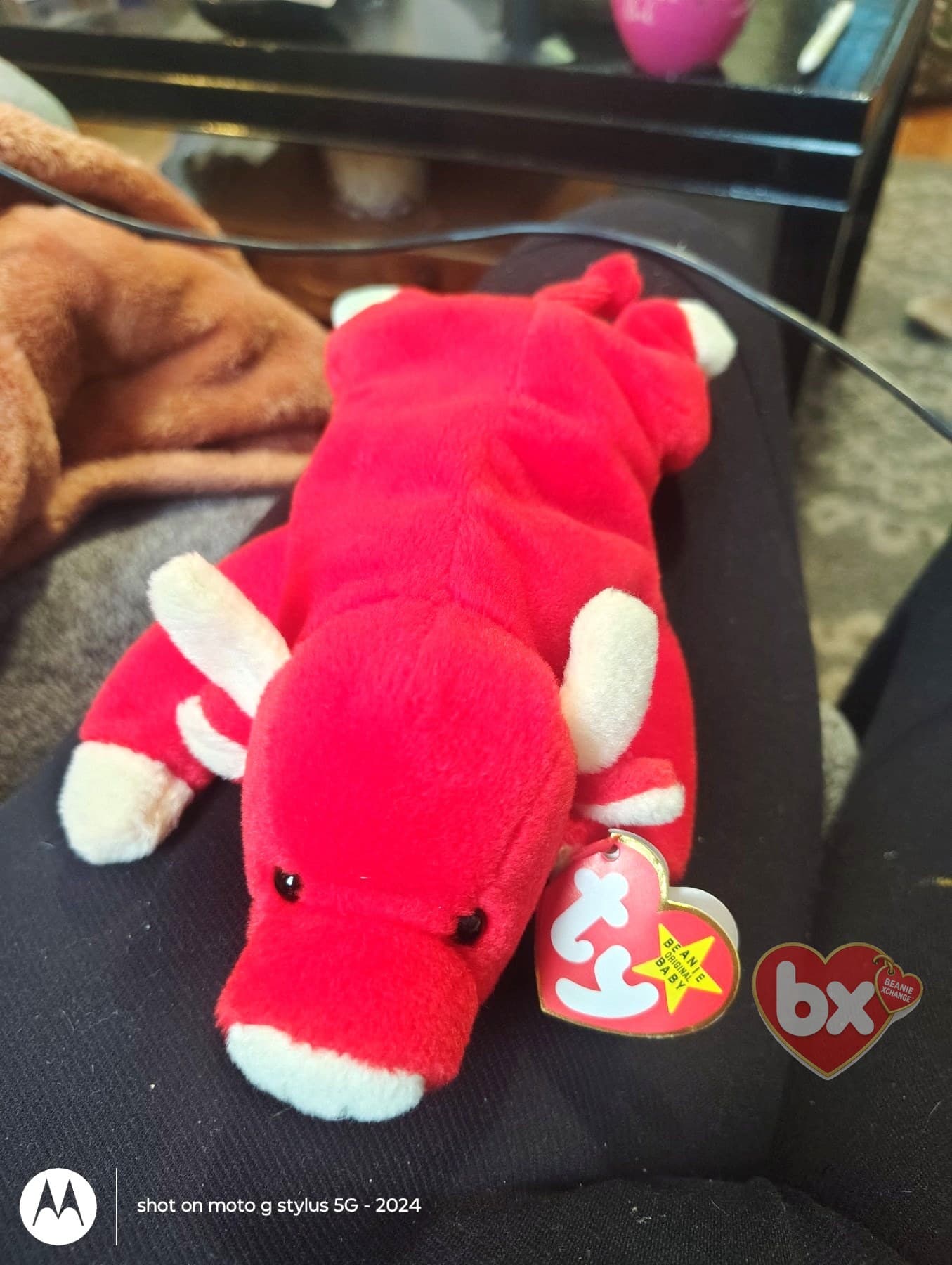 Snort — Ty Beanie Baby