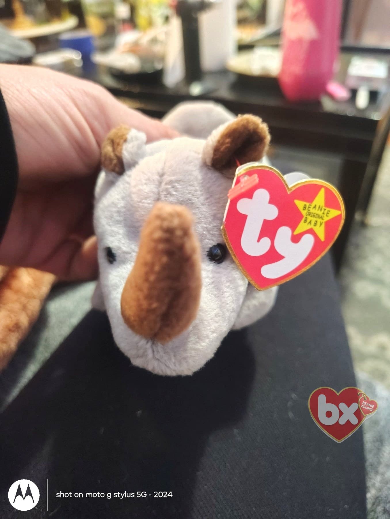Spike — Ty Beanie Baby