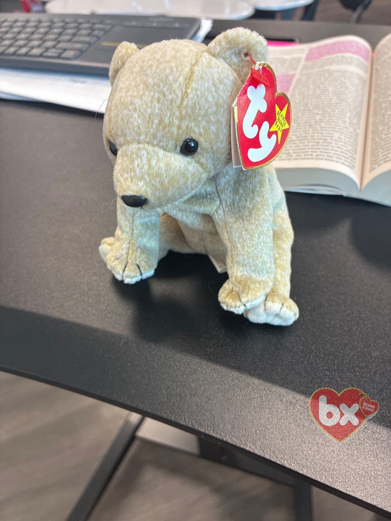Brownie — Ty Beanie Baby bear (1993)