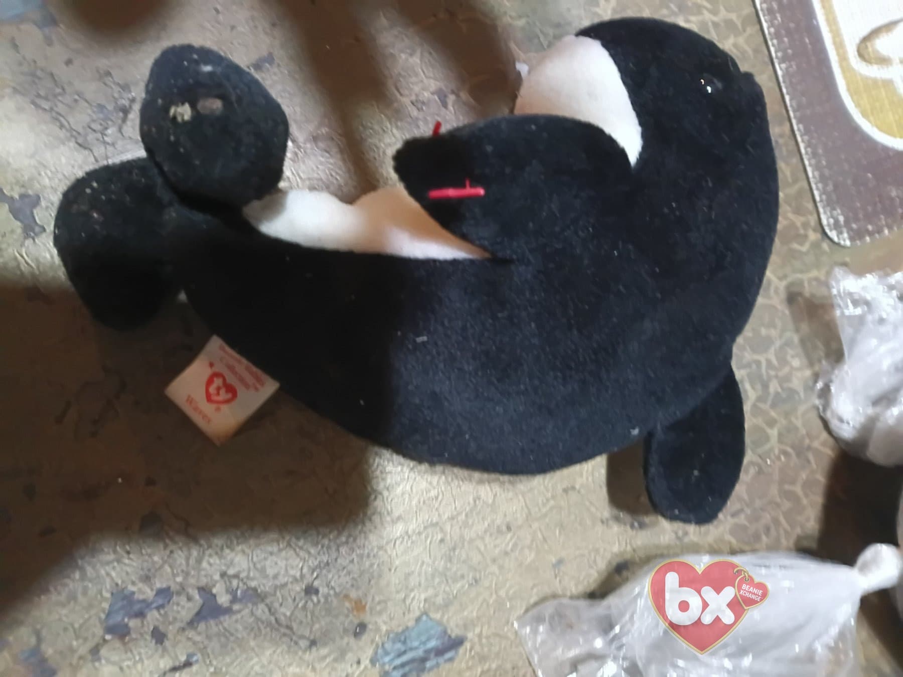 Splash — Ty Beanie Baby whale (1993)