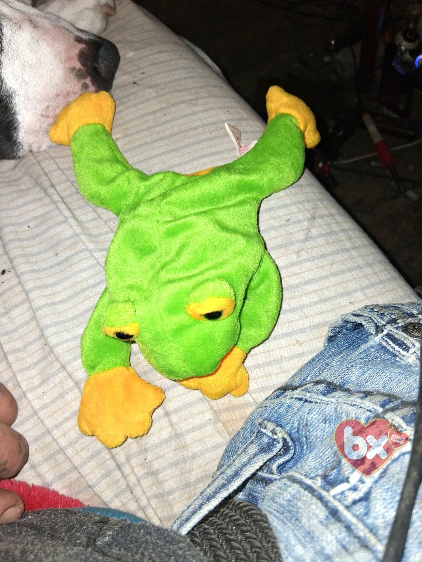 Smoochy — Ty Beanie Baby frog (1996)