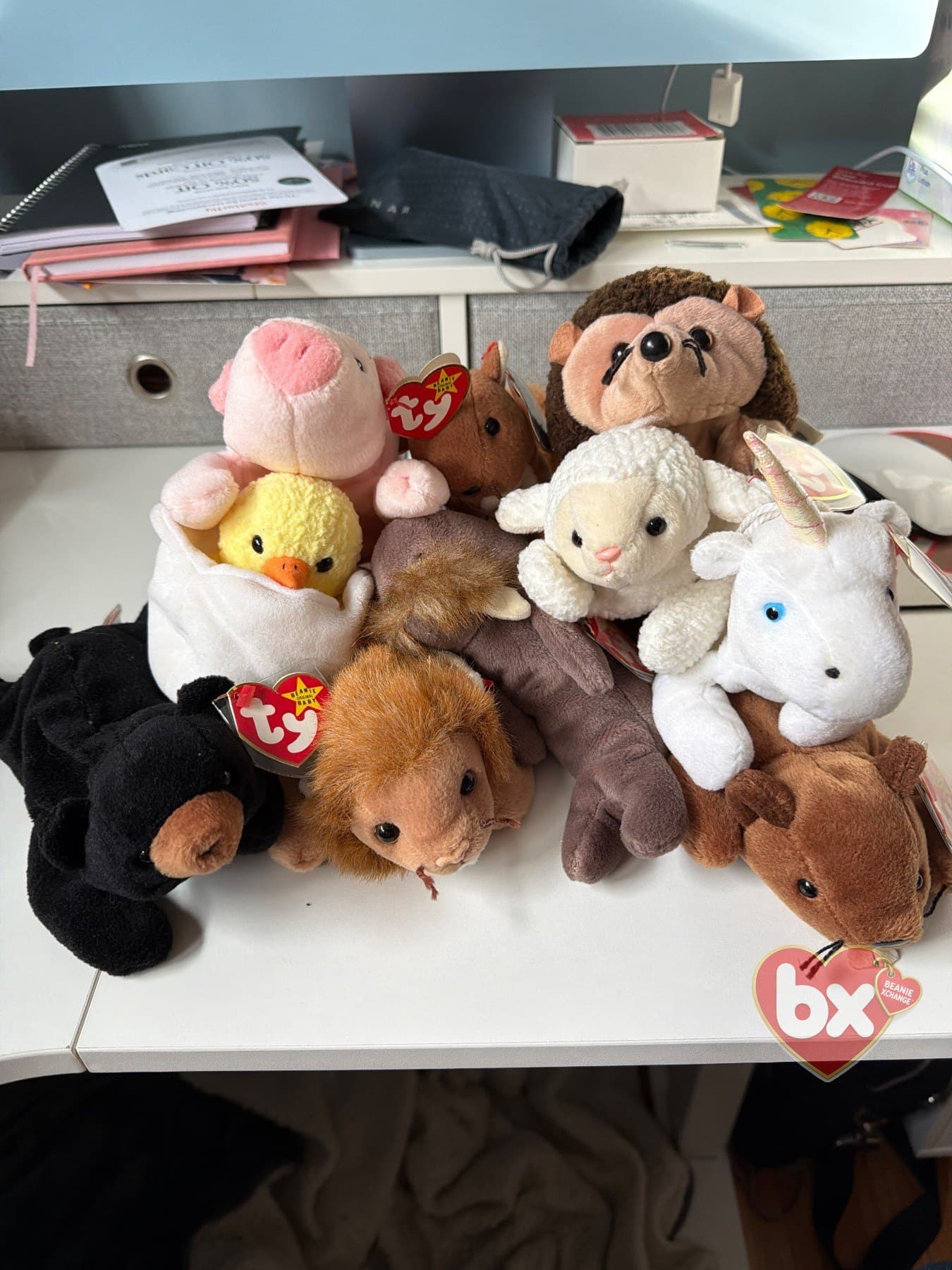 Nice addition to Beanie babies collection