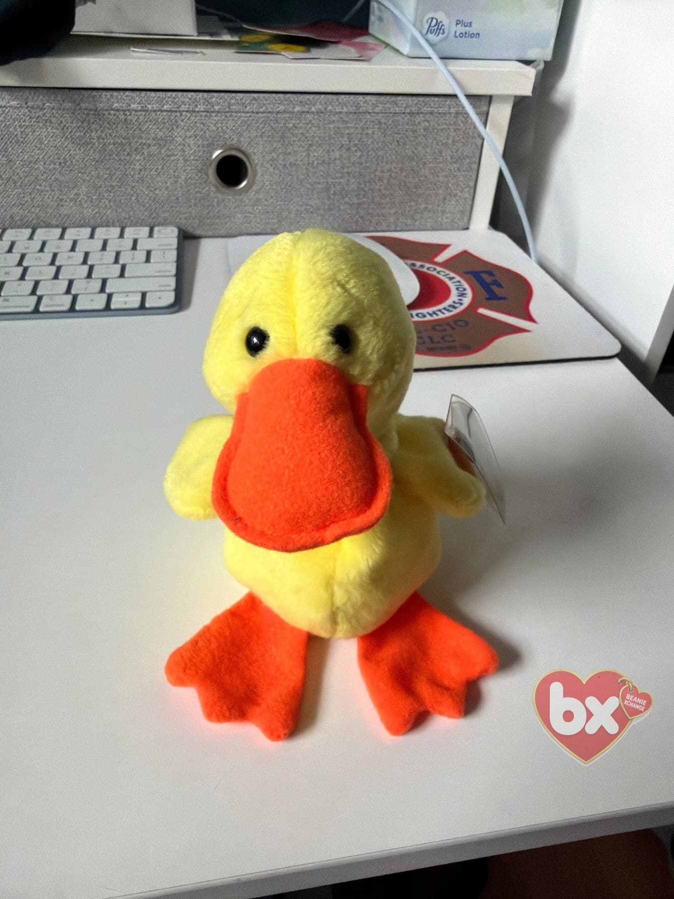 Quackers (with wings) — Ty Beanie Baby duck Quackers (with wings) — Ty Beanie Baby duck