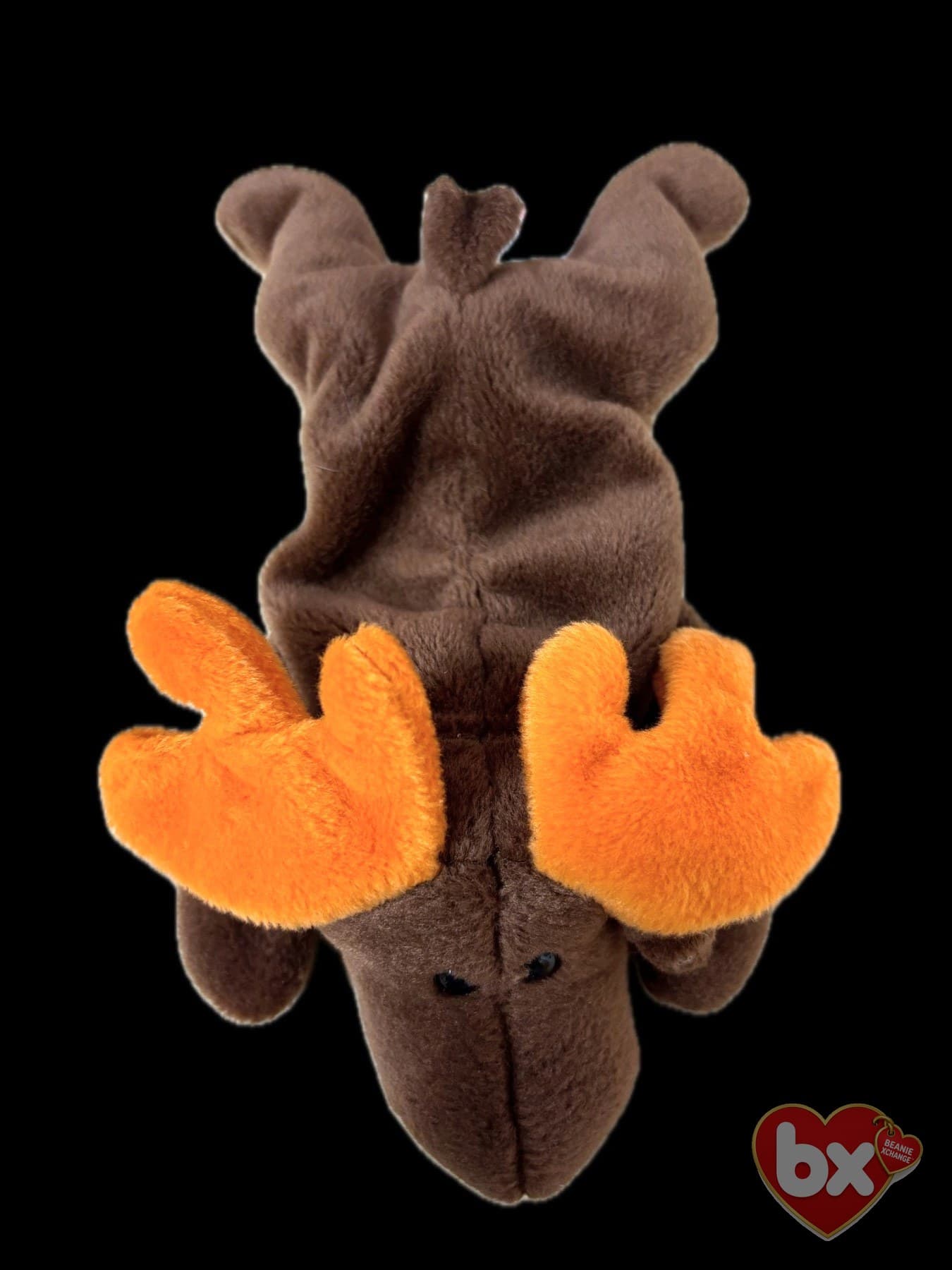 Chocolate — Ty Beanie Baby moose (1993) Chocolate — Ty Beanie Baby moose (1993)