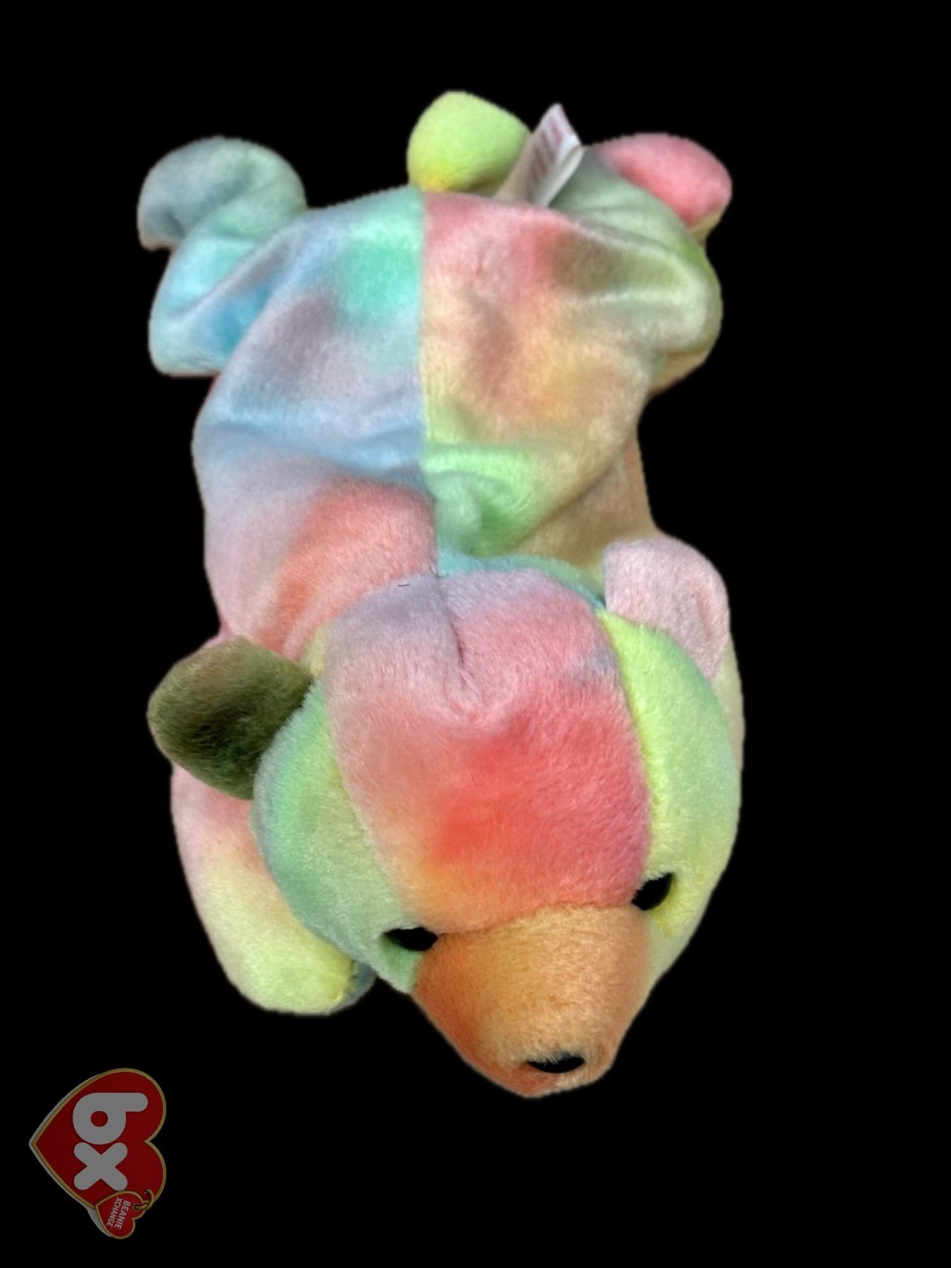 Sammy — Ty Beanie Baby bear (1998) Sammy — Ty Beanie Baby bear (1998)