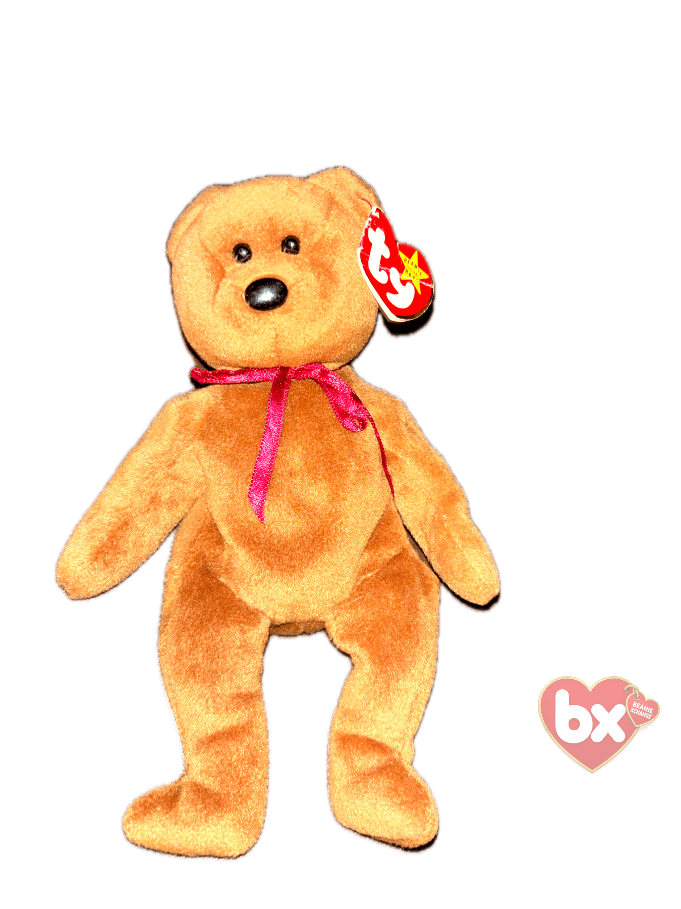 Teddy — Ty Beanie Baby