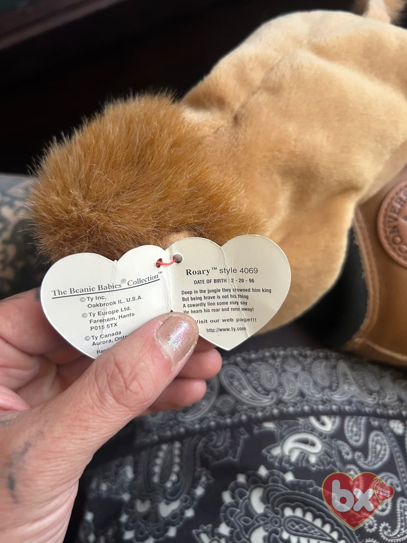 Roary — Ty Beanie Baby