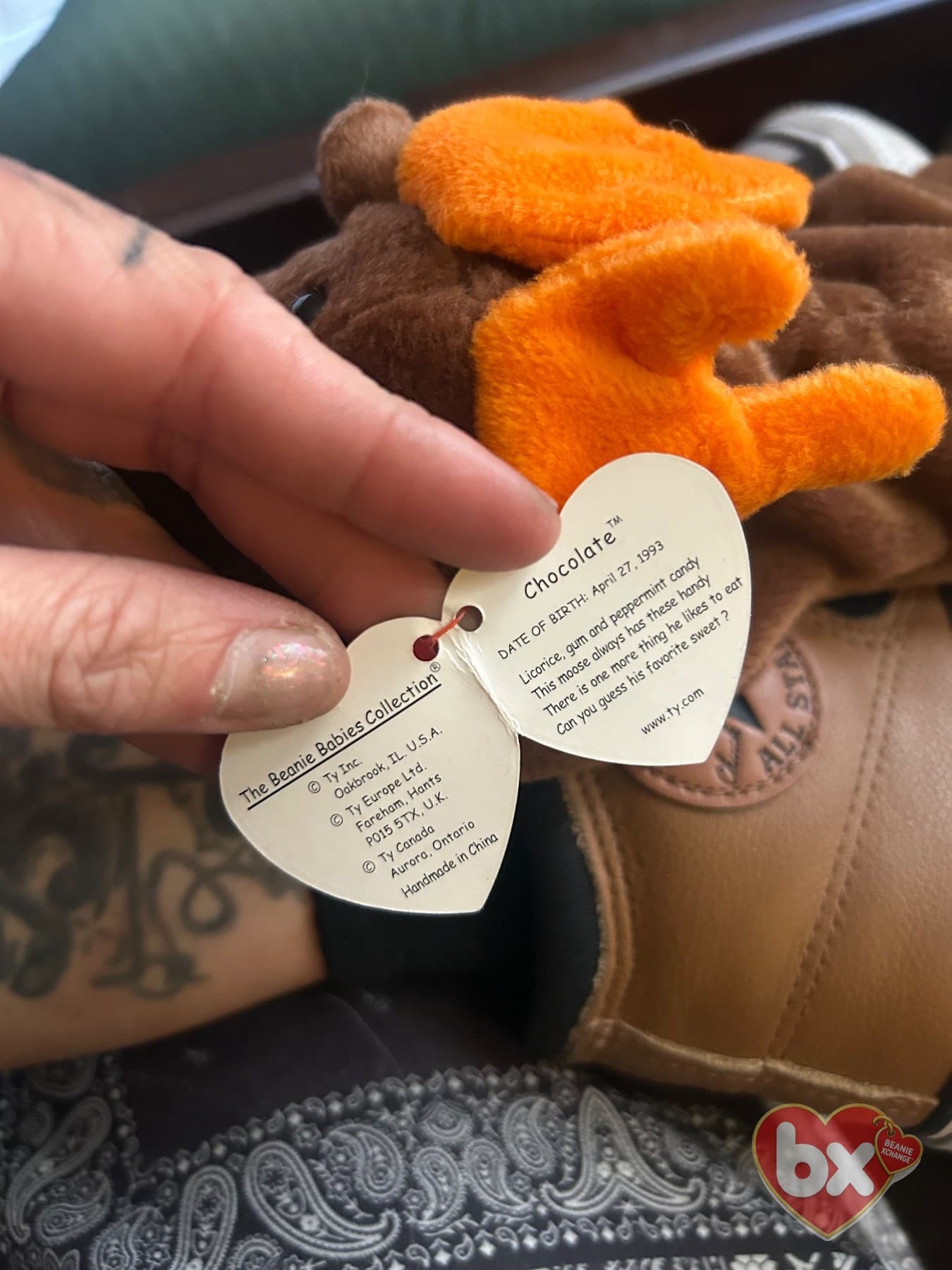Chocolate — Ty Beanie Baby