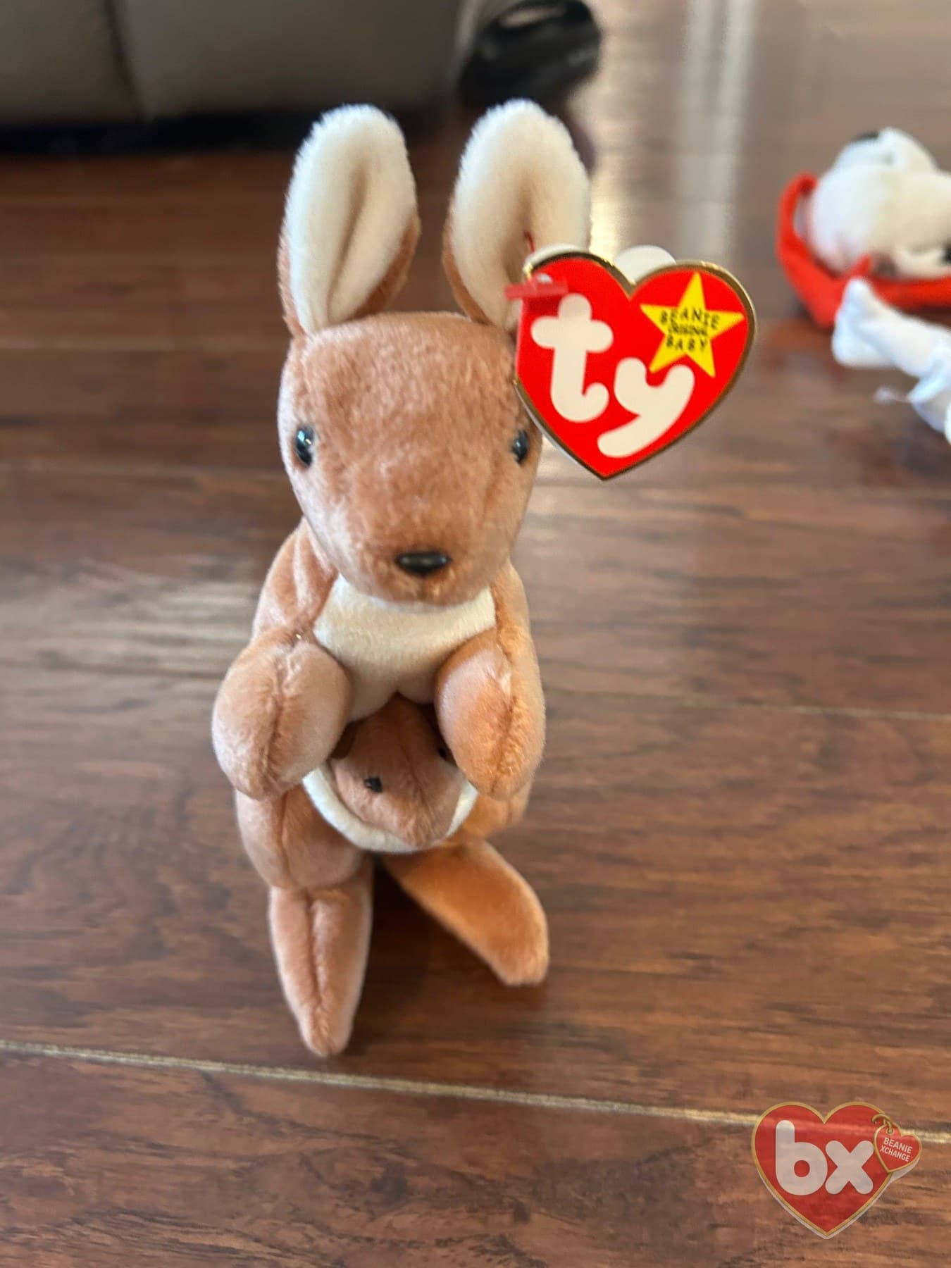 Pouch