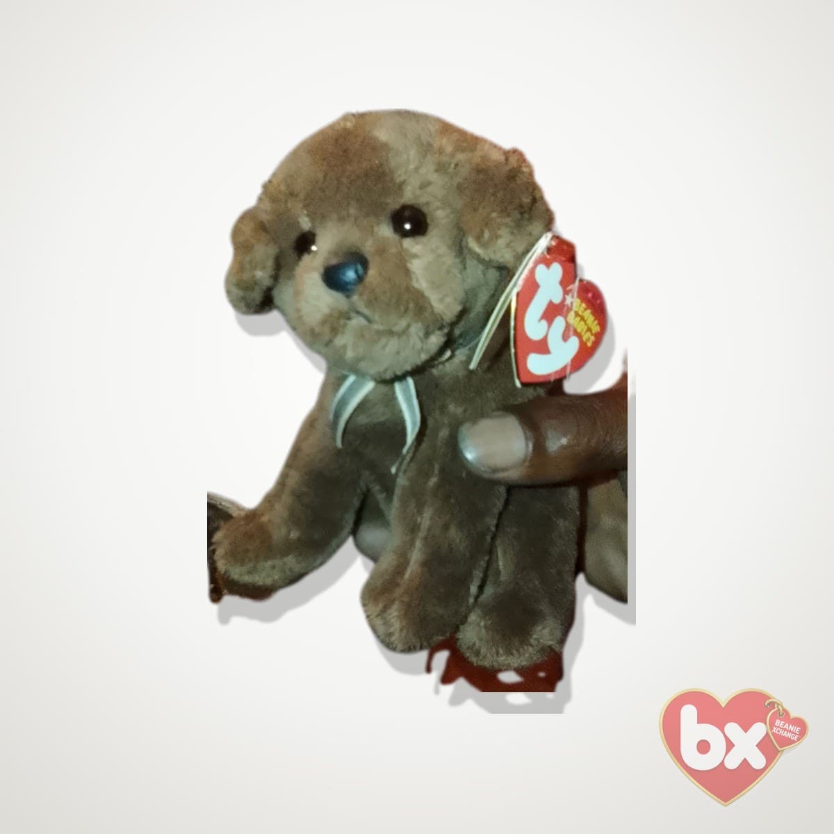 Diggidy — Ty Beanie Baby