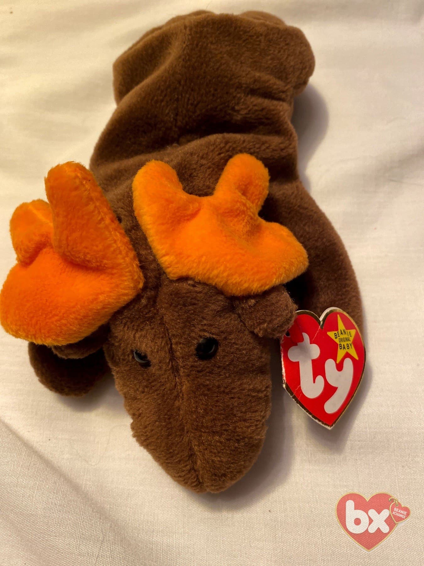 Chocolate — Ty Beanie Baby