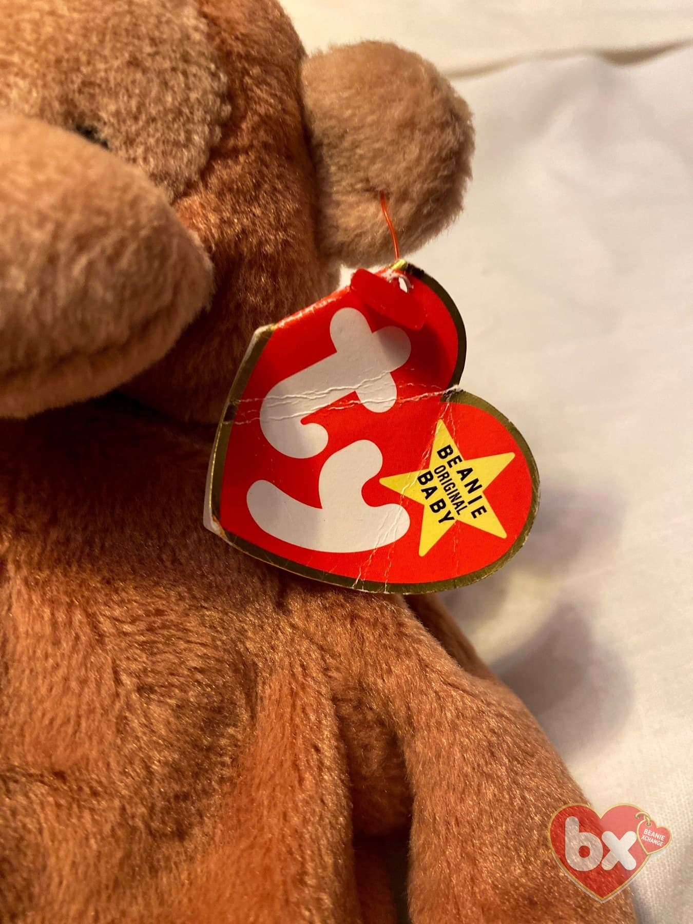 Bongo — Ty Beanie Baby