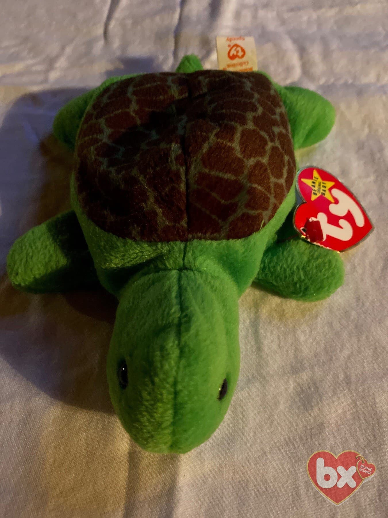 Speedy — Ty Beanie Baby turtle (1994) Speedy — Ty Beanie Baby turtle (1994)