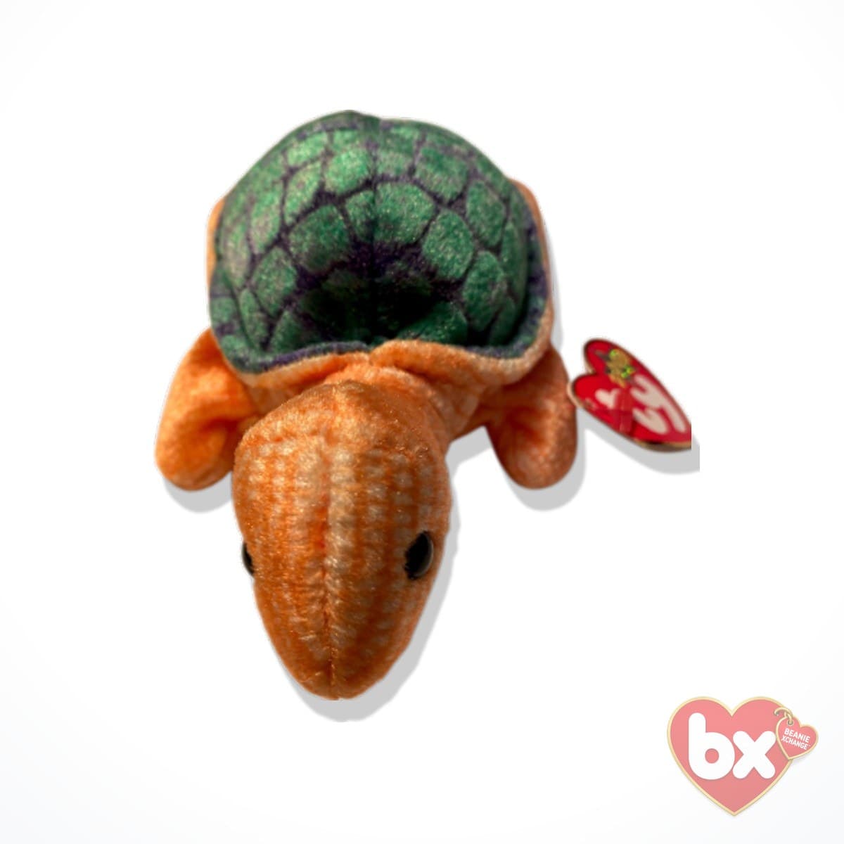 Peekaboo — Ty Beanie Baby turtle Peekaboo — Ty Beanie Baby turtle