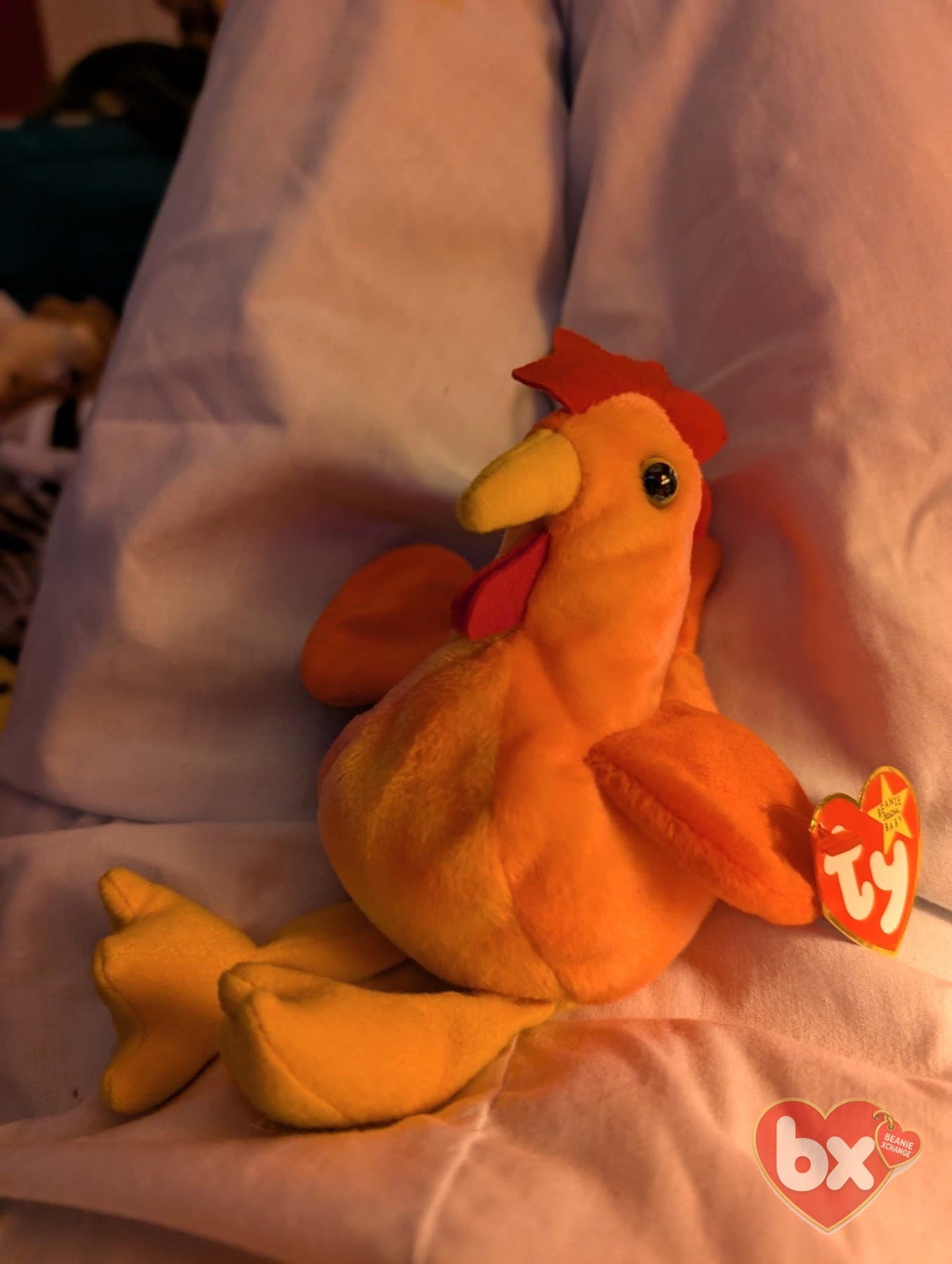 Doodle / Strut — Ty Beanie Baby rooster (1997) Doodle / Strut — Ty Beanie Baby rooster (1997)