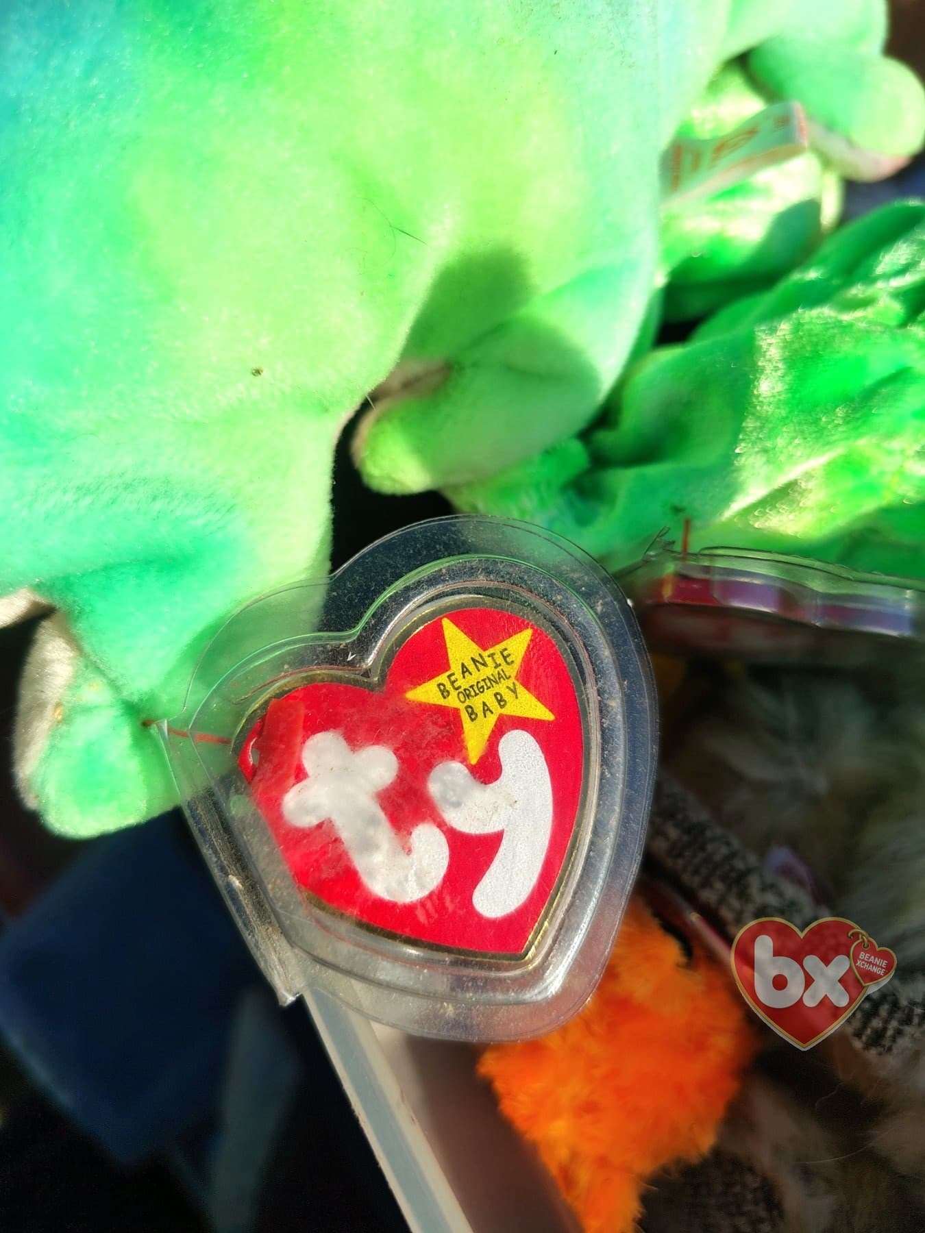 Iggy — Ty Beanie Baby iguana (1997) Iggy — Ty Beanie Baby iguana (1997)