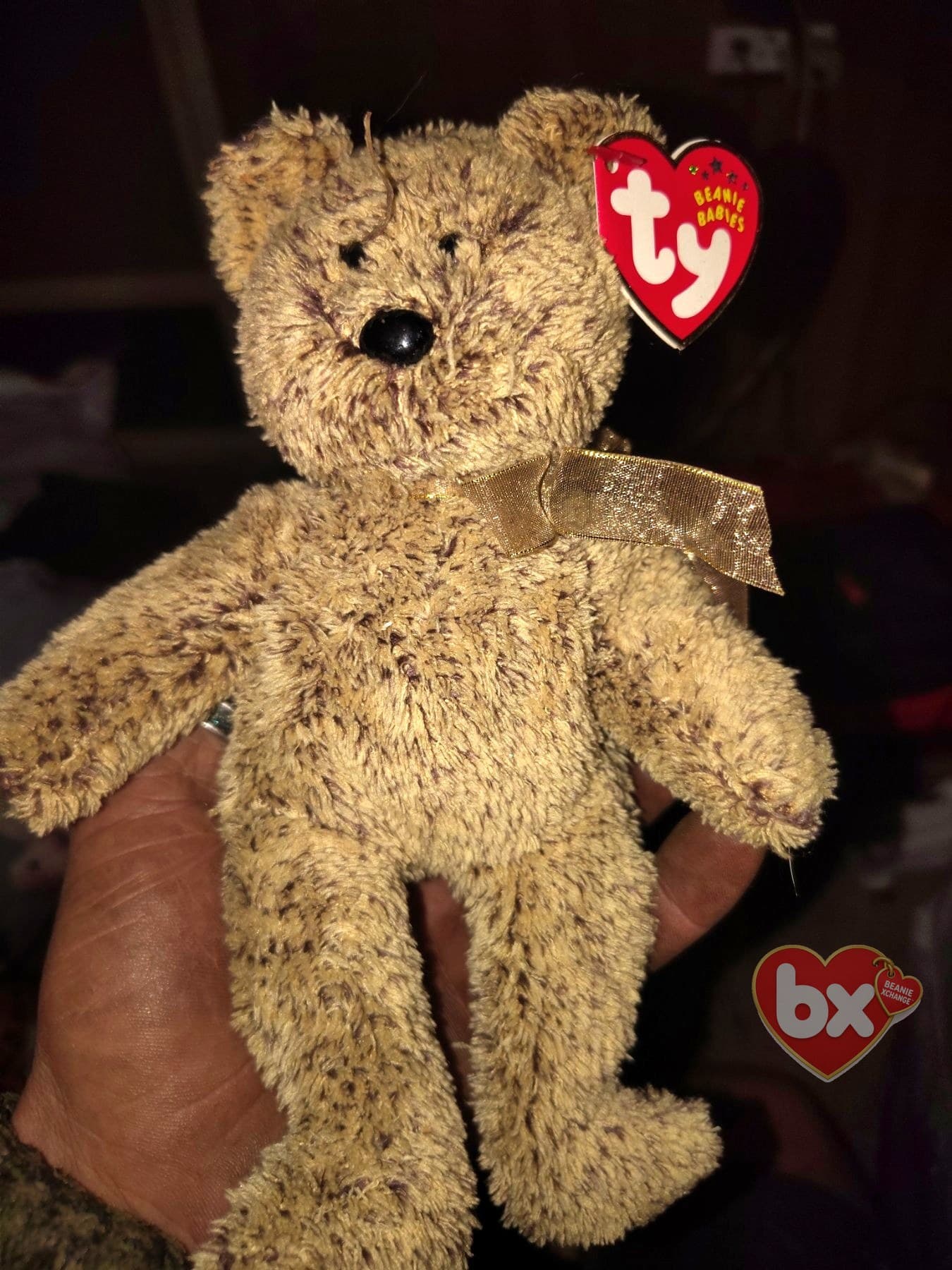 Harry — Ty Beanie Baby bear Harry — Ty Beanie Baby bear
