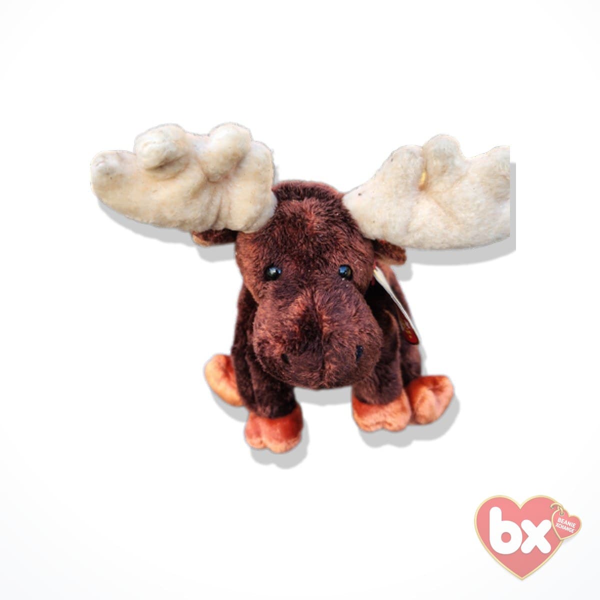 Chocolate — Ty Beanie Baby